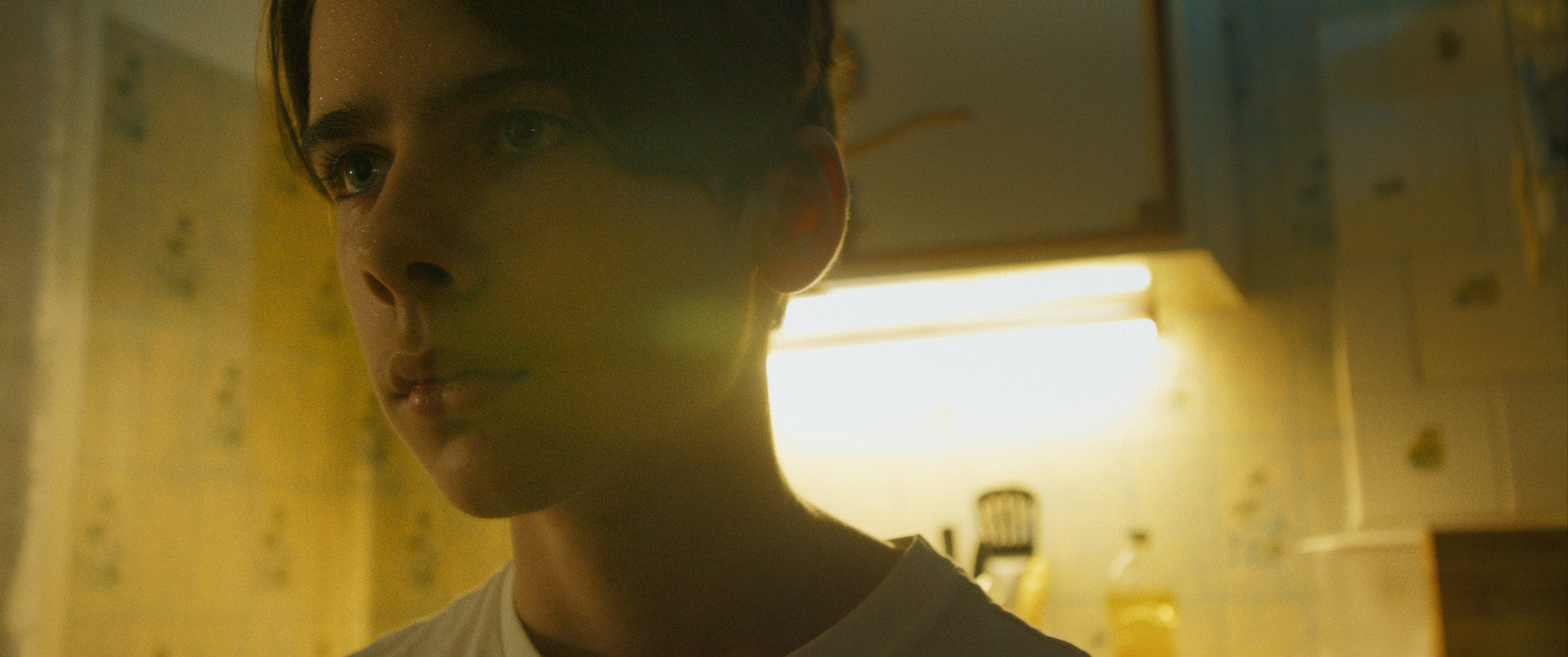 Dykhaniye myortvogo lesa | Film. Ilia Ivanov