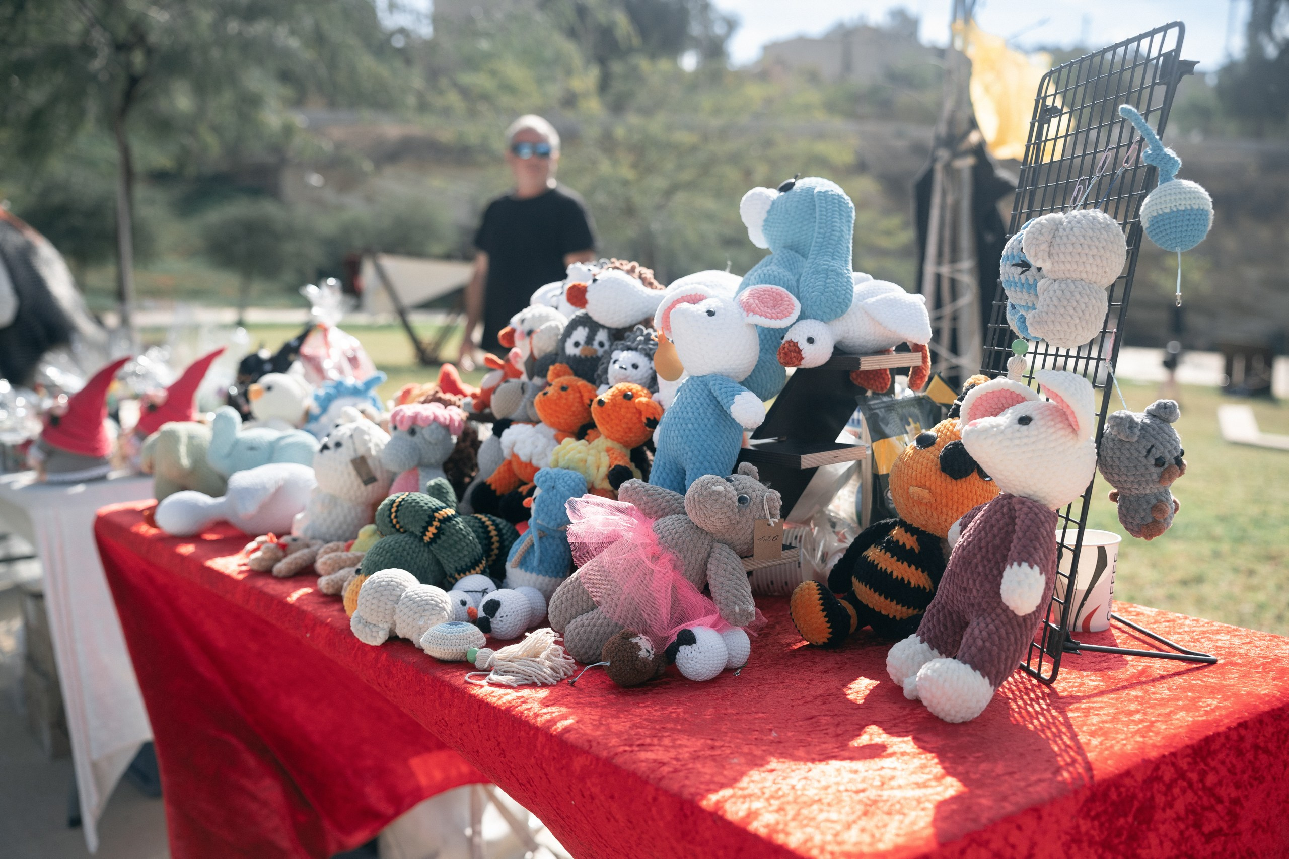 Мини-фестиваль клуба «Нортман» в Беэр-Шеве — 17 января 2025 | Виккинги в Израиле. КРиС «Нортман»