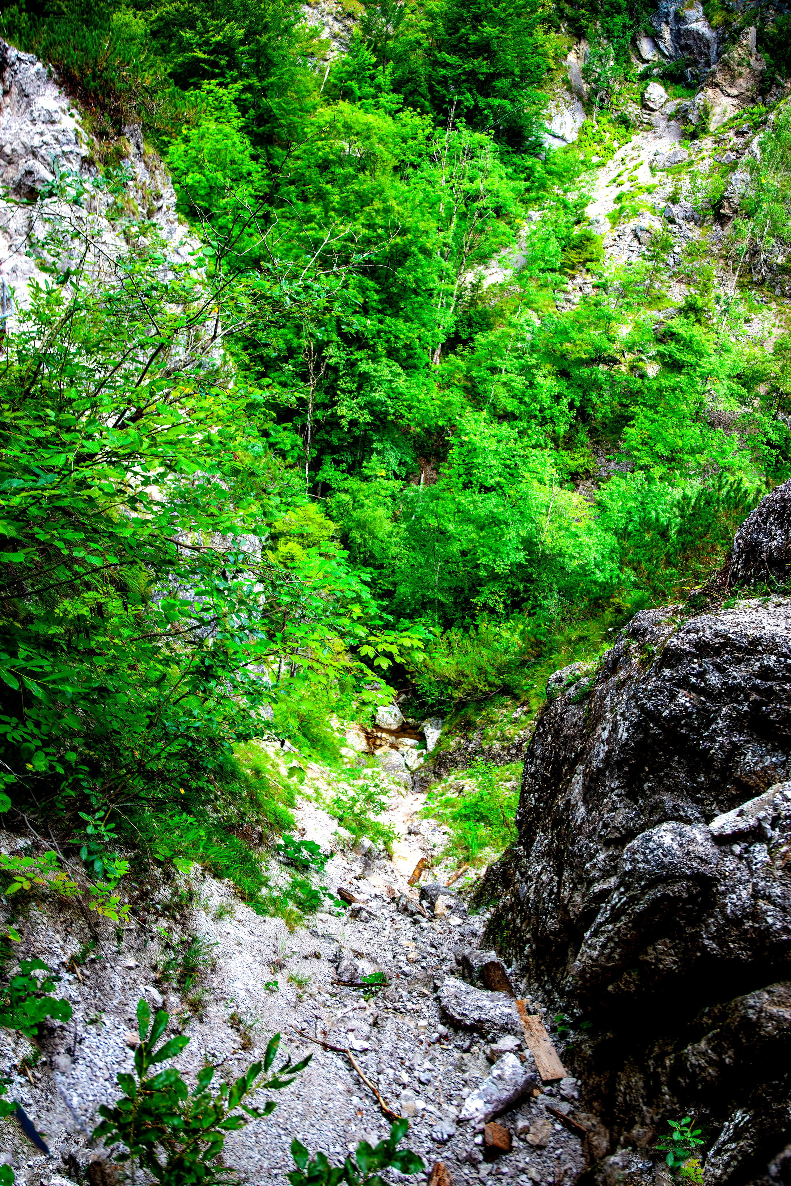 197.Ötscher Base Nature Park.Austria.21.8.2025. Путешествия в формате 360......