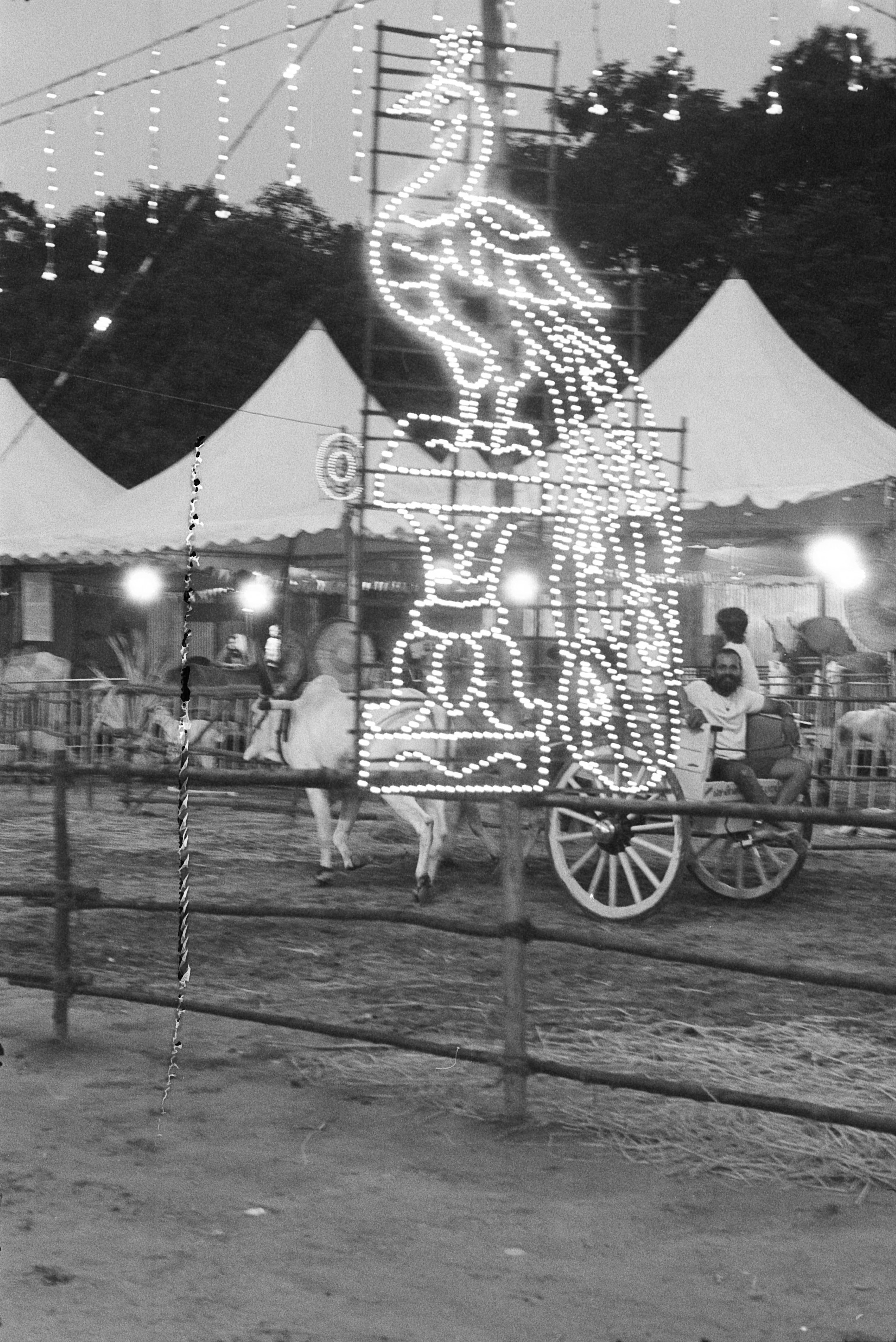 Everything on Film. Portrait, Fashion & Fitness Photography in Chennai| SunnyHazePhotography