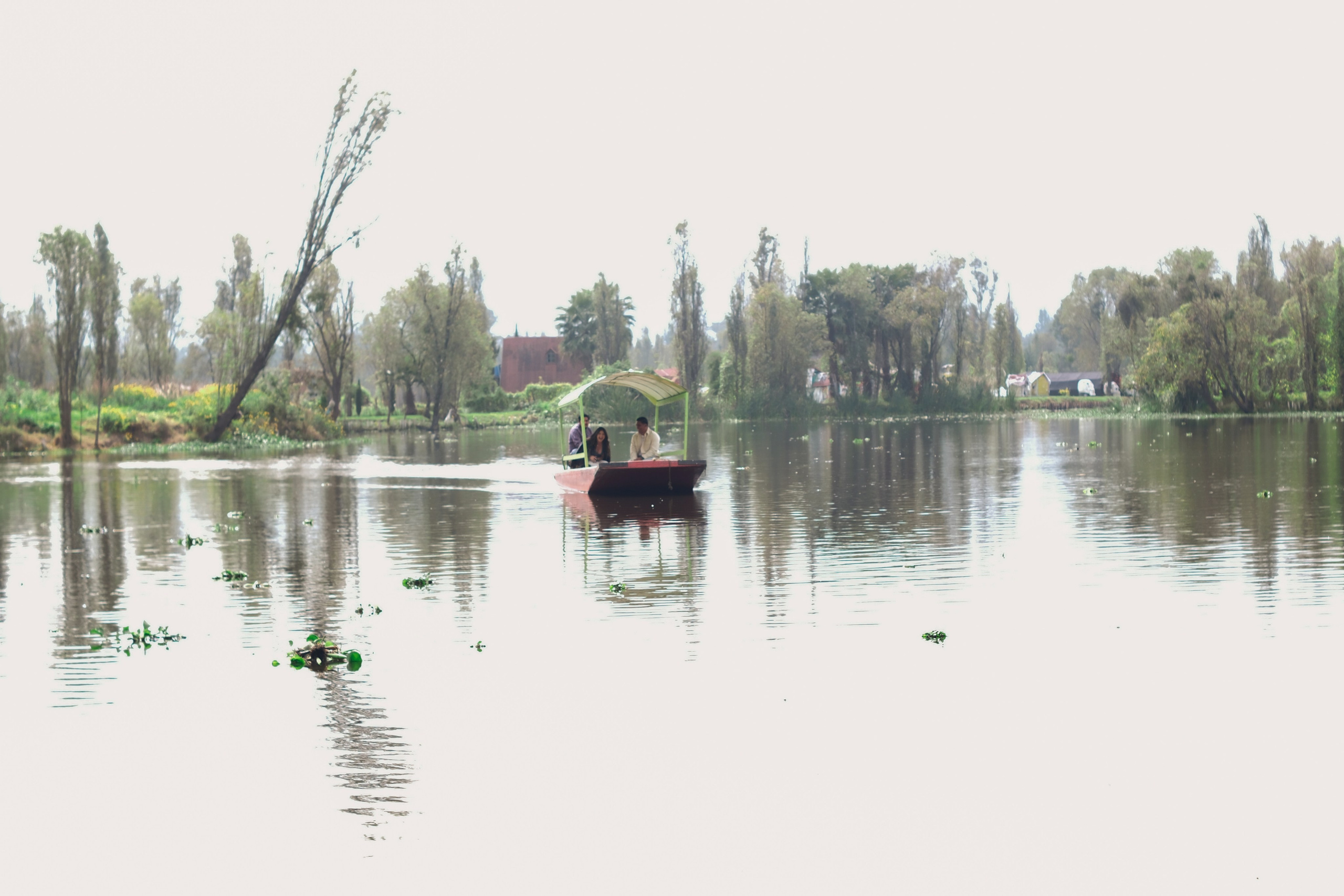 Alex & John. Wedding and family photographer in Mexico City