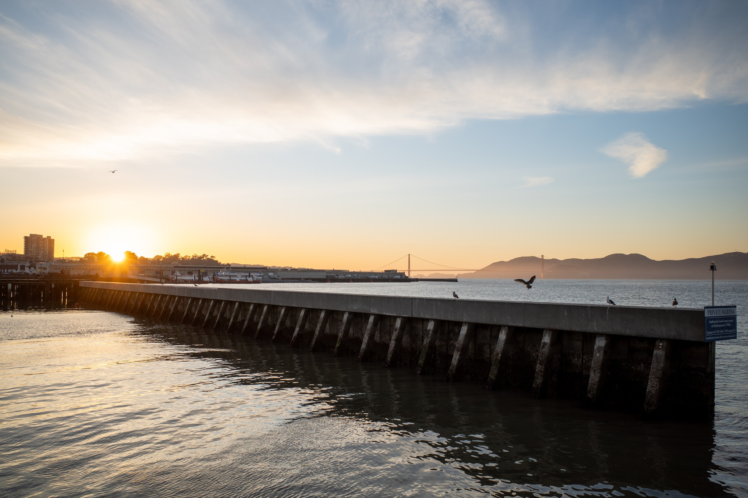 San Francisco. Aleks.photo | Book a photoshoot