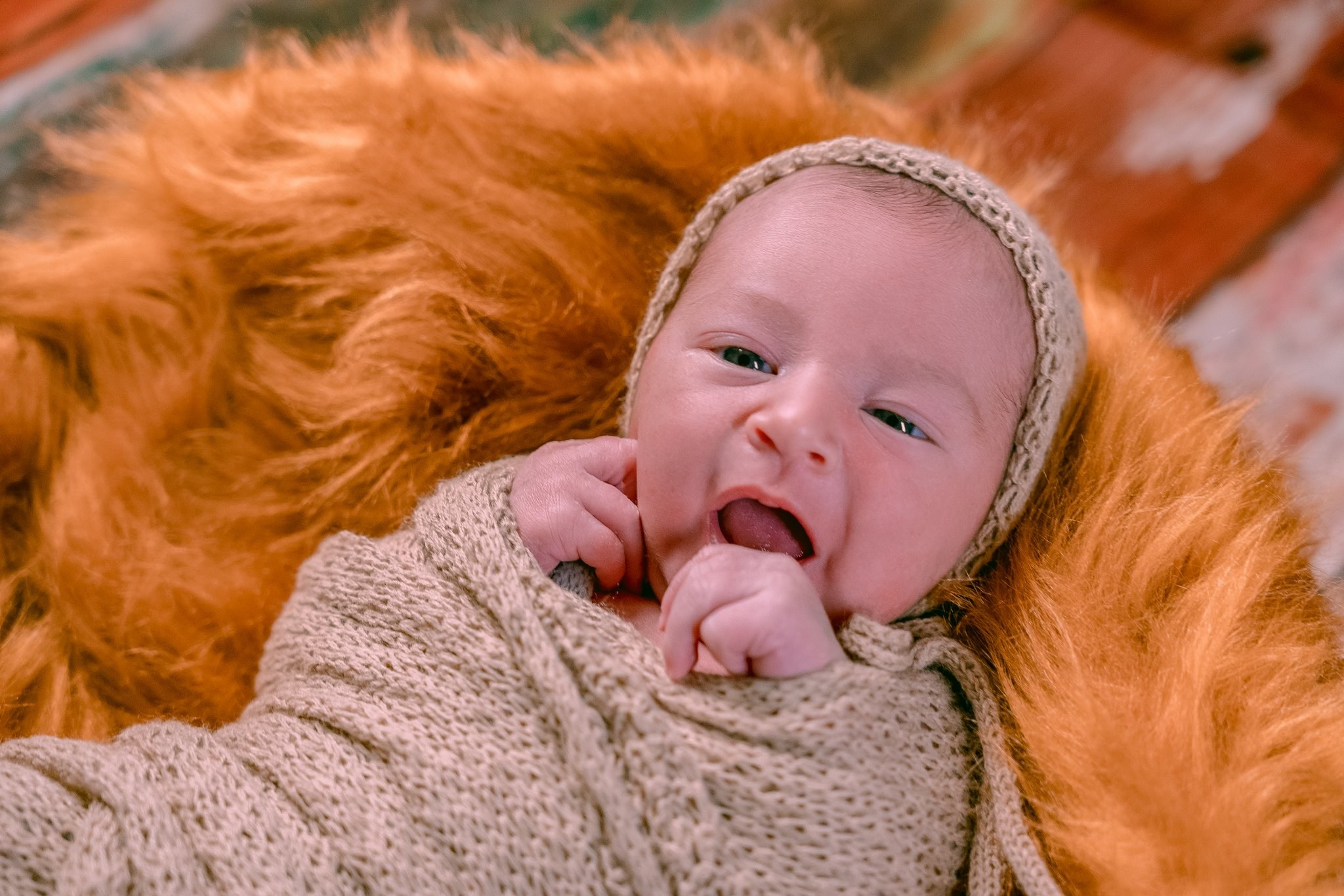 Vicente — 09/04/2024. Luiz Medeiros Produções