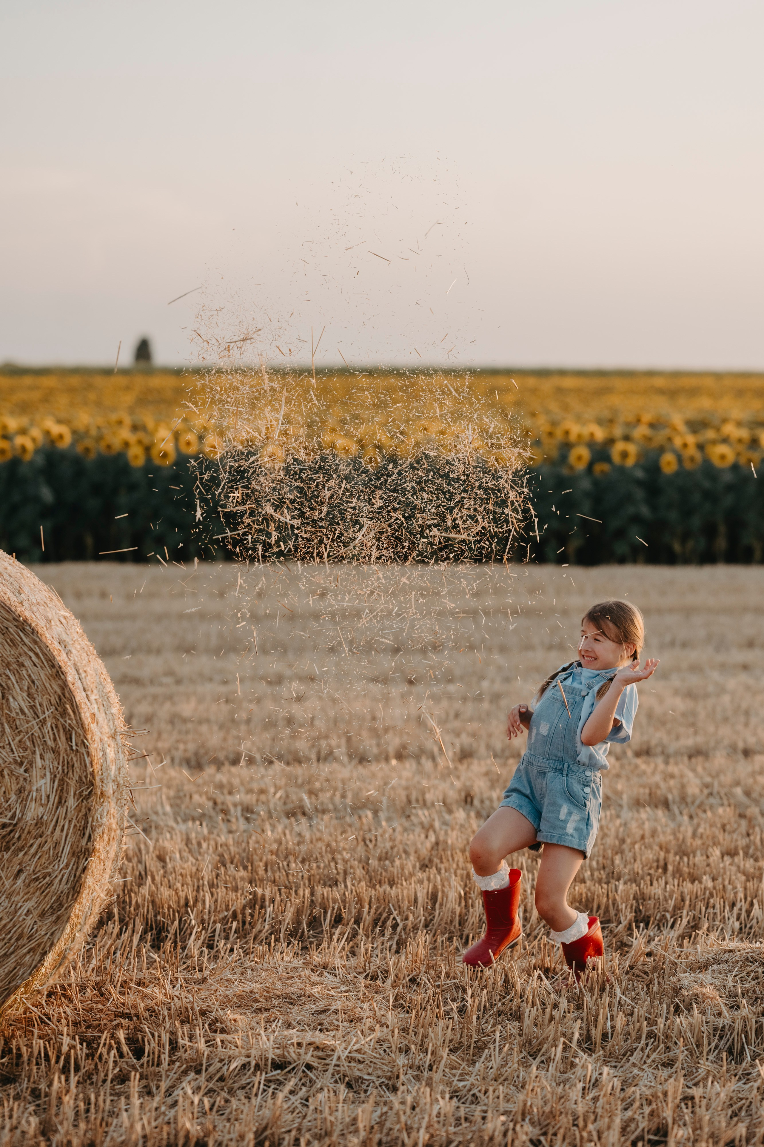 Letnje fotografisanje u polju suncokreta i sena. Deciji i porodicni fotograf u Beogradu Oksana Skendzic
