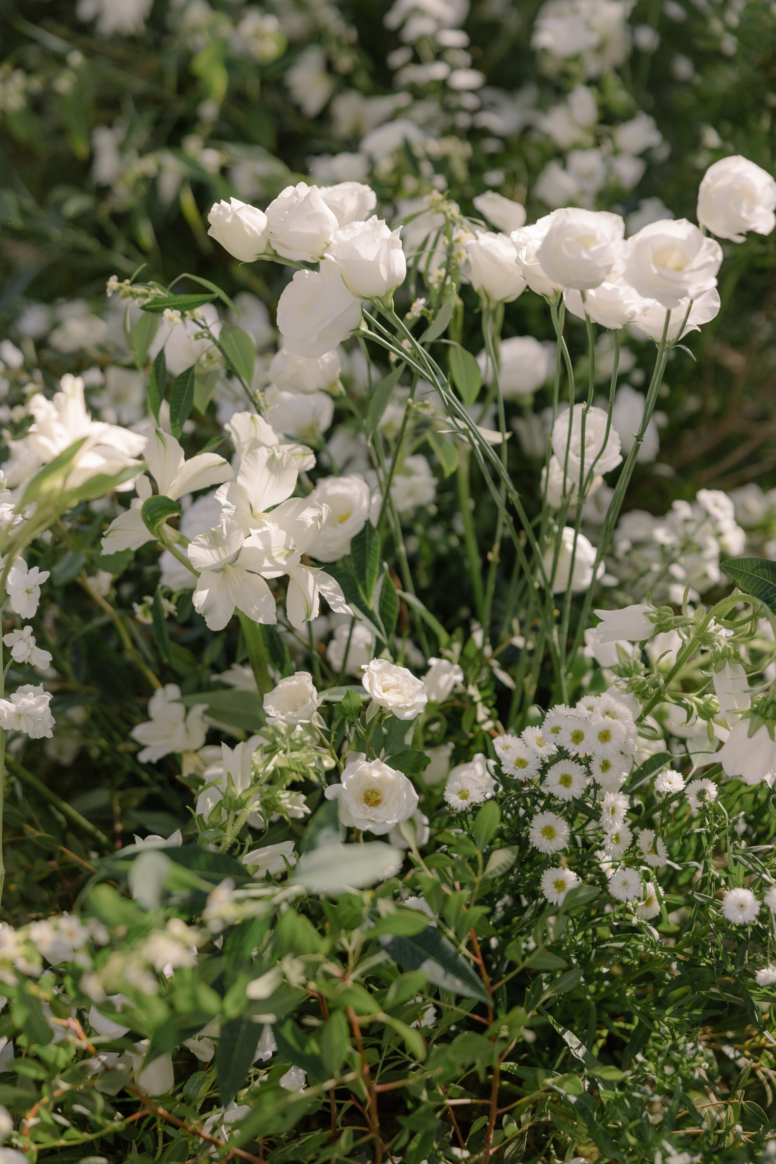 Mitcell&Melanie digital. Wedding photographer Italy