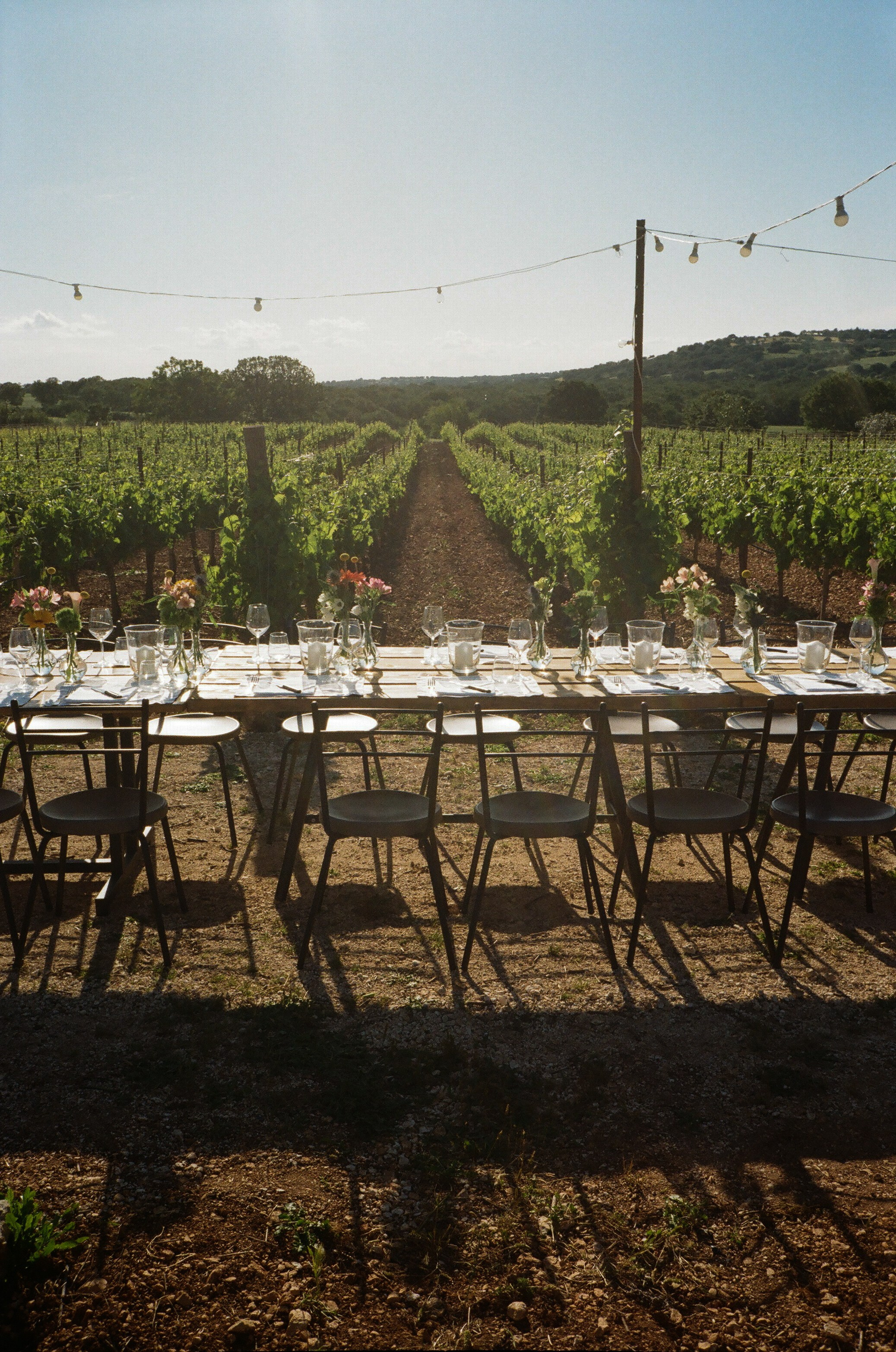 Stephanie & Christian film photos. Весільний фотограф Вікторія Саврук