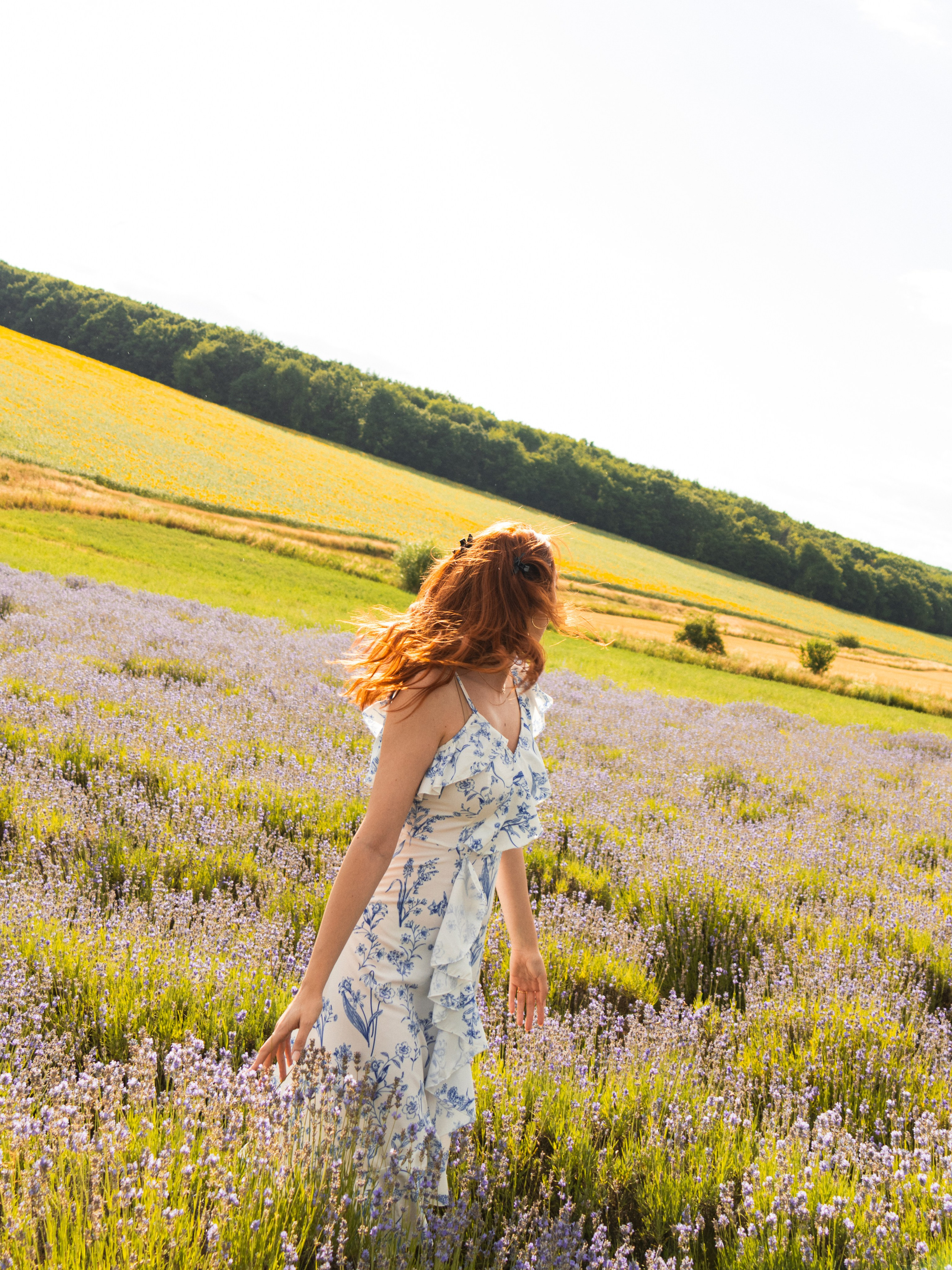 Couple Sessions — Lavender Fields