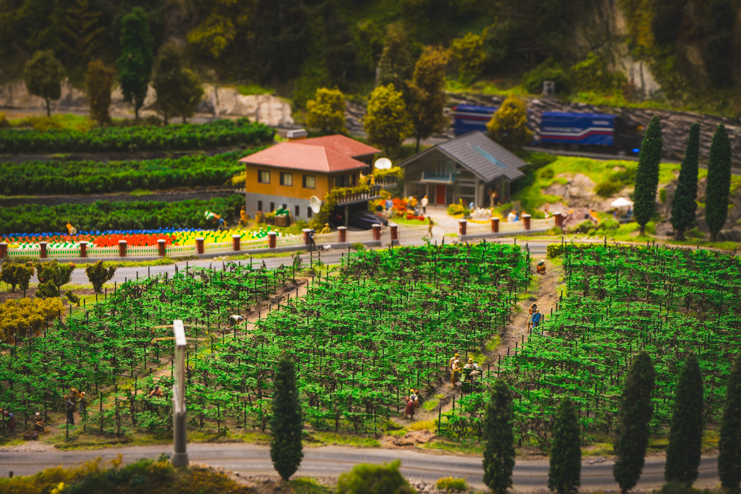 Puhkus Peterburis (Ermitaaž, Shadow muuseum, Grand Maket Venemaa, ArtMuza). Nebula 25 — Fotod teie hingele