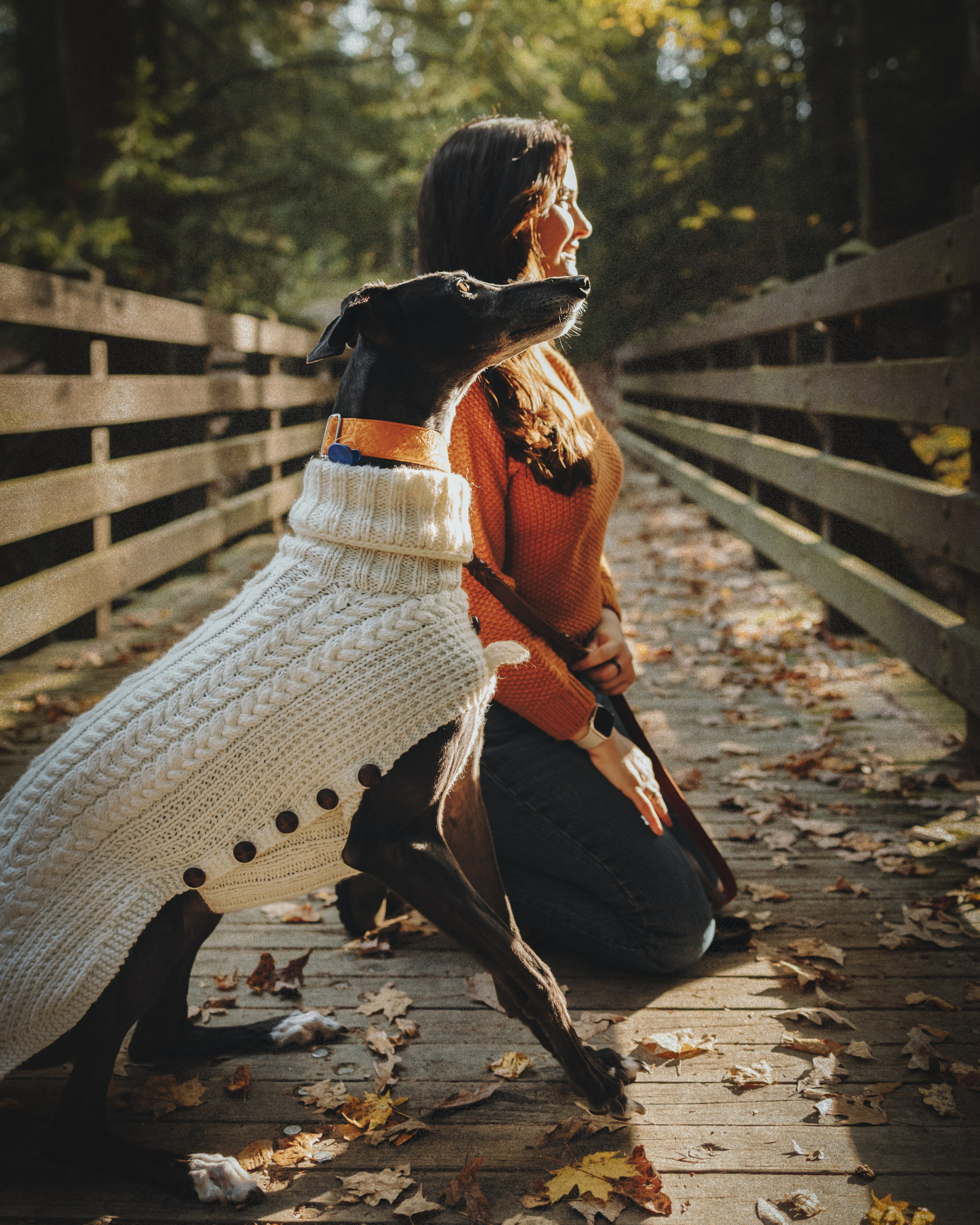 Tilly, Kati & Landon. Pet Photographer Viktoriya Aleshenko