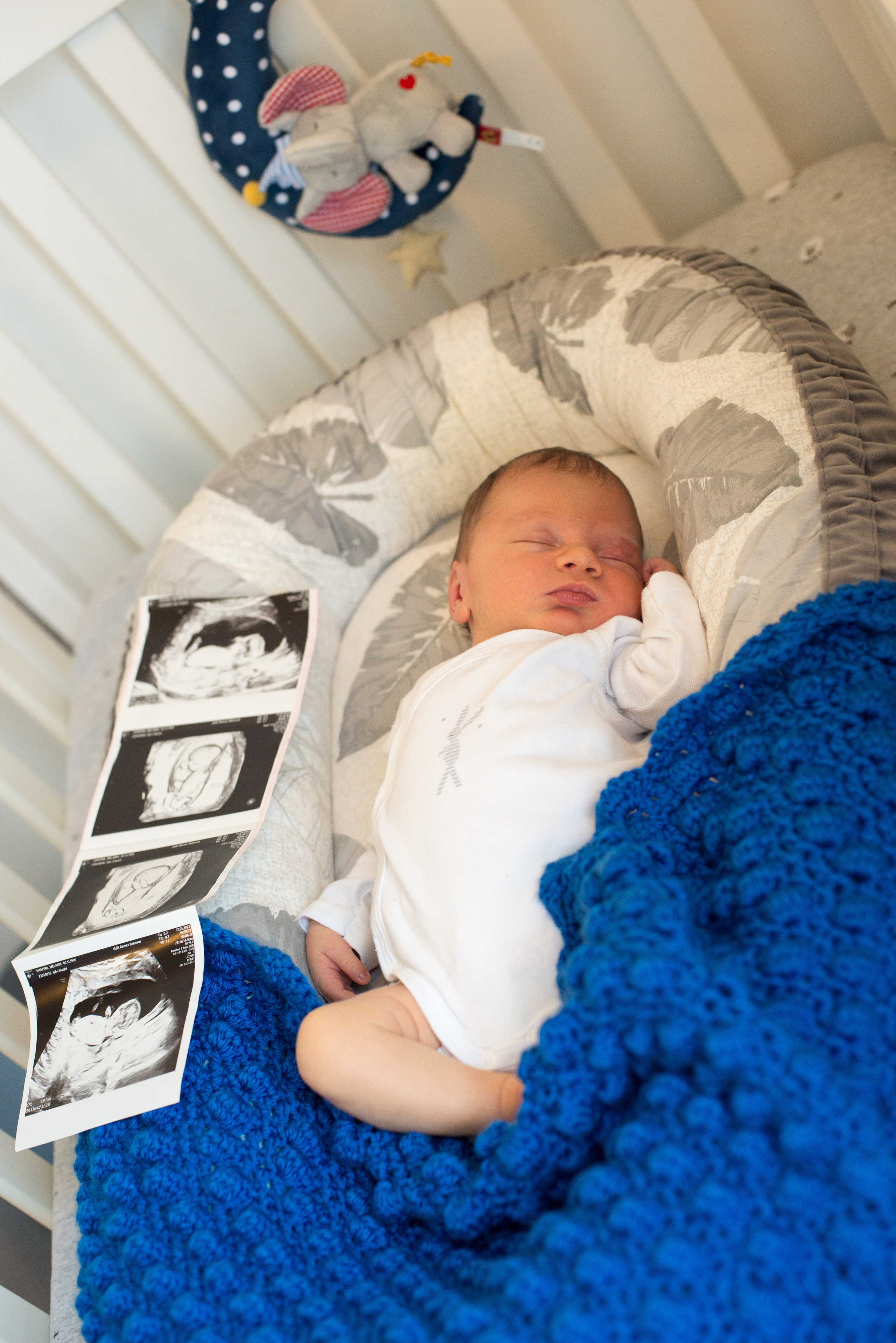 Семья Ильи и Мелани. Визуальный брендинг