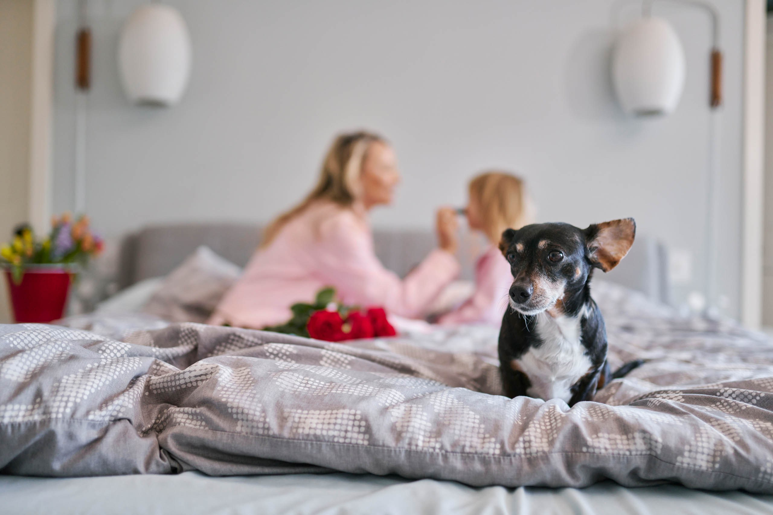 Mother & Daughter Morning Lifestyle Session. Bay Area Life | Event, Wedding & Commercial Photography Agency