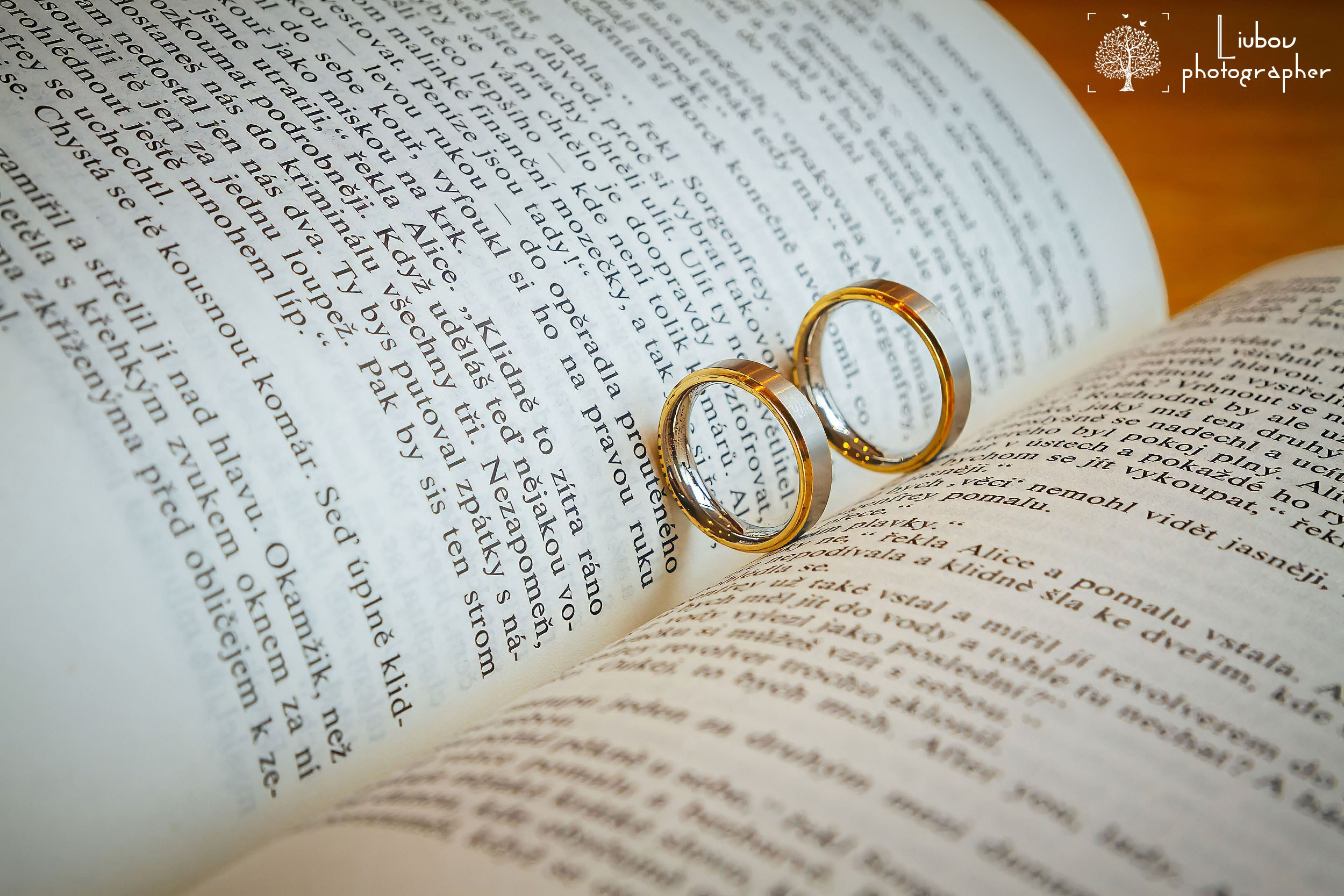 Свадебные фотографии. Свадебное фото и видео в городе Плзень. Александр Ерёменко и Любовь Роман