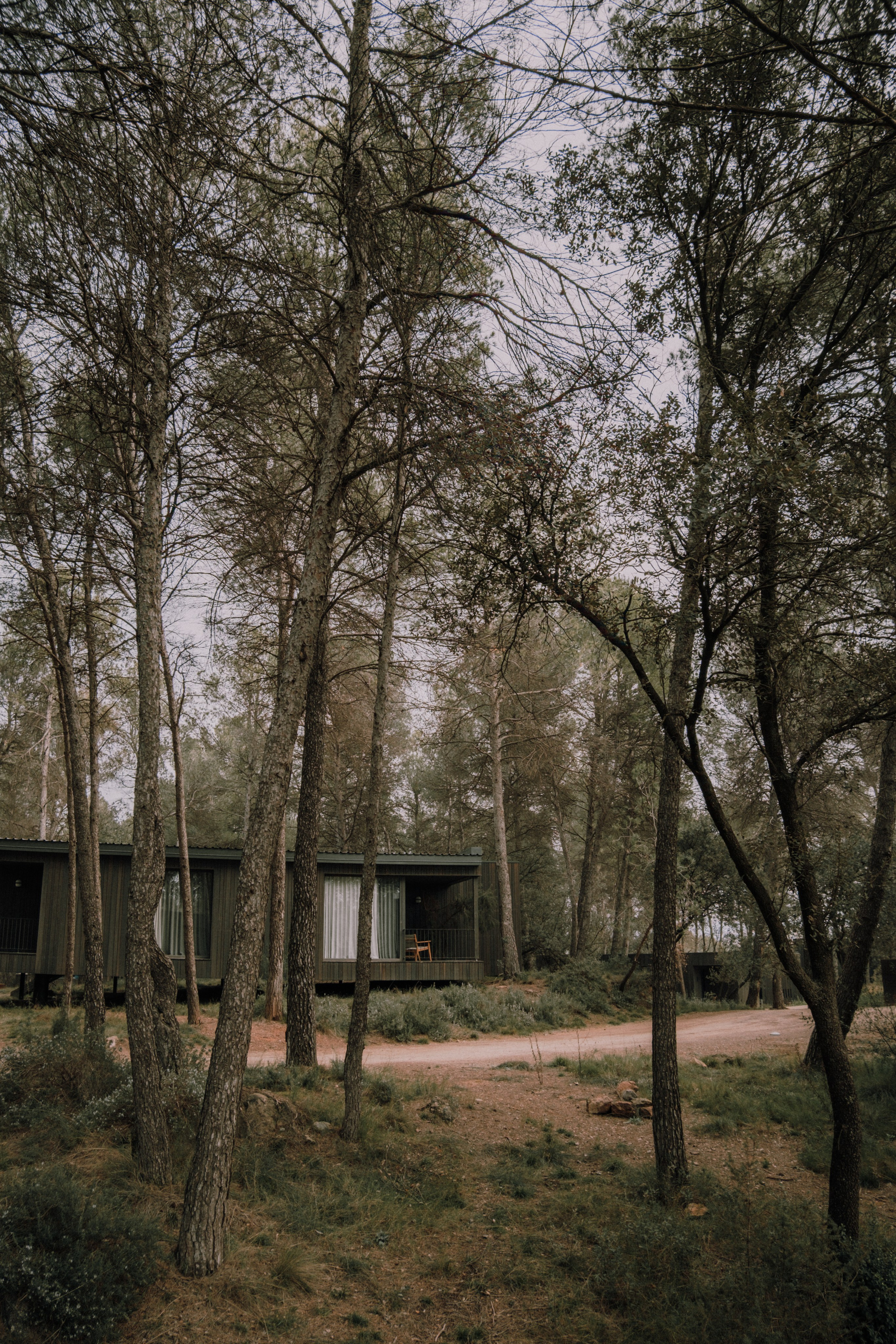 Sesión familiar en el bosque. Fotografía profesional en Calafell - Elena Medvedeva