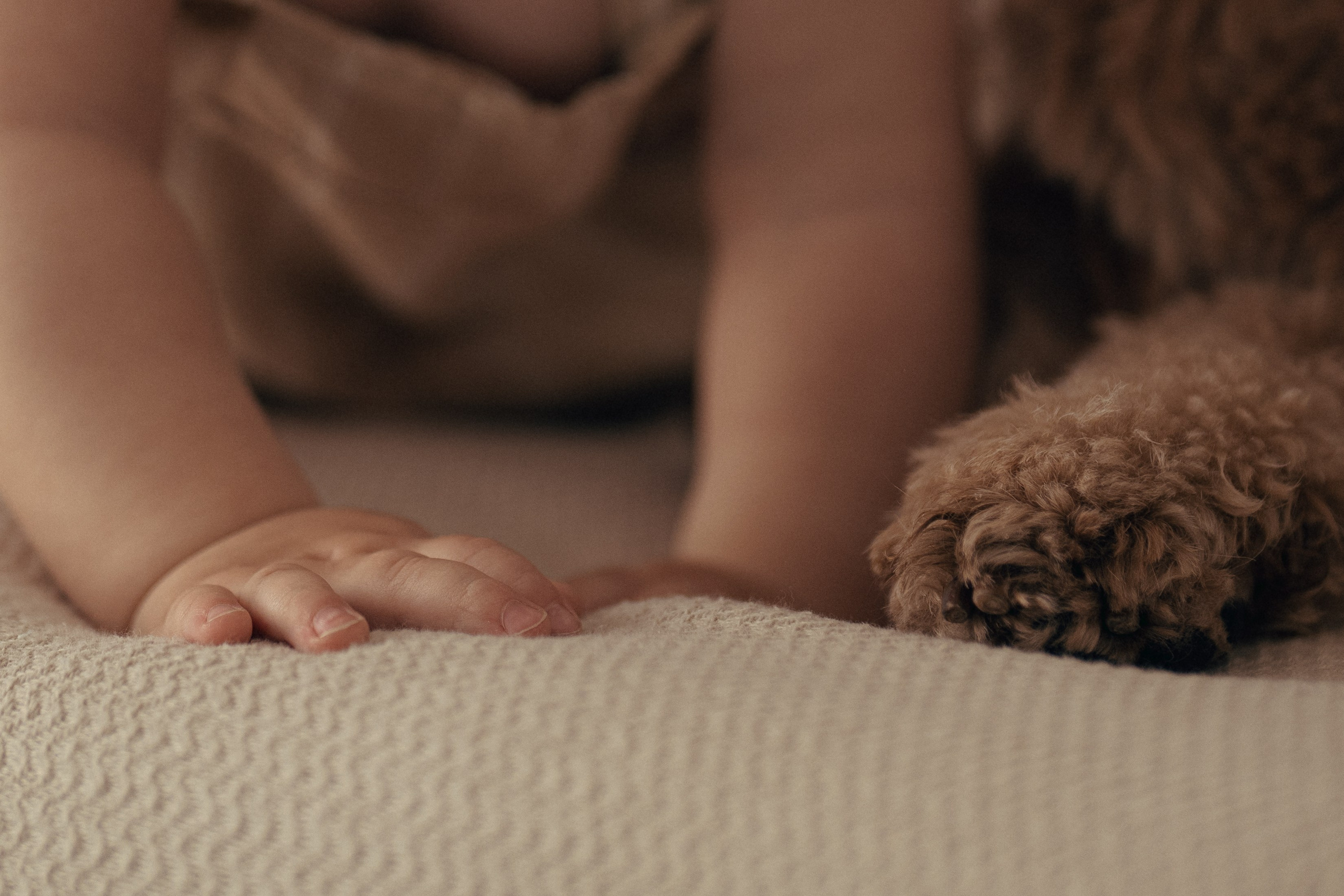 Liam Noah, Angela & Cooper. Wedding & elopement photographer Viktoriya Kravtsov. Las Vegas