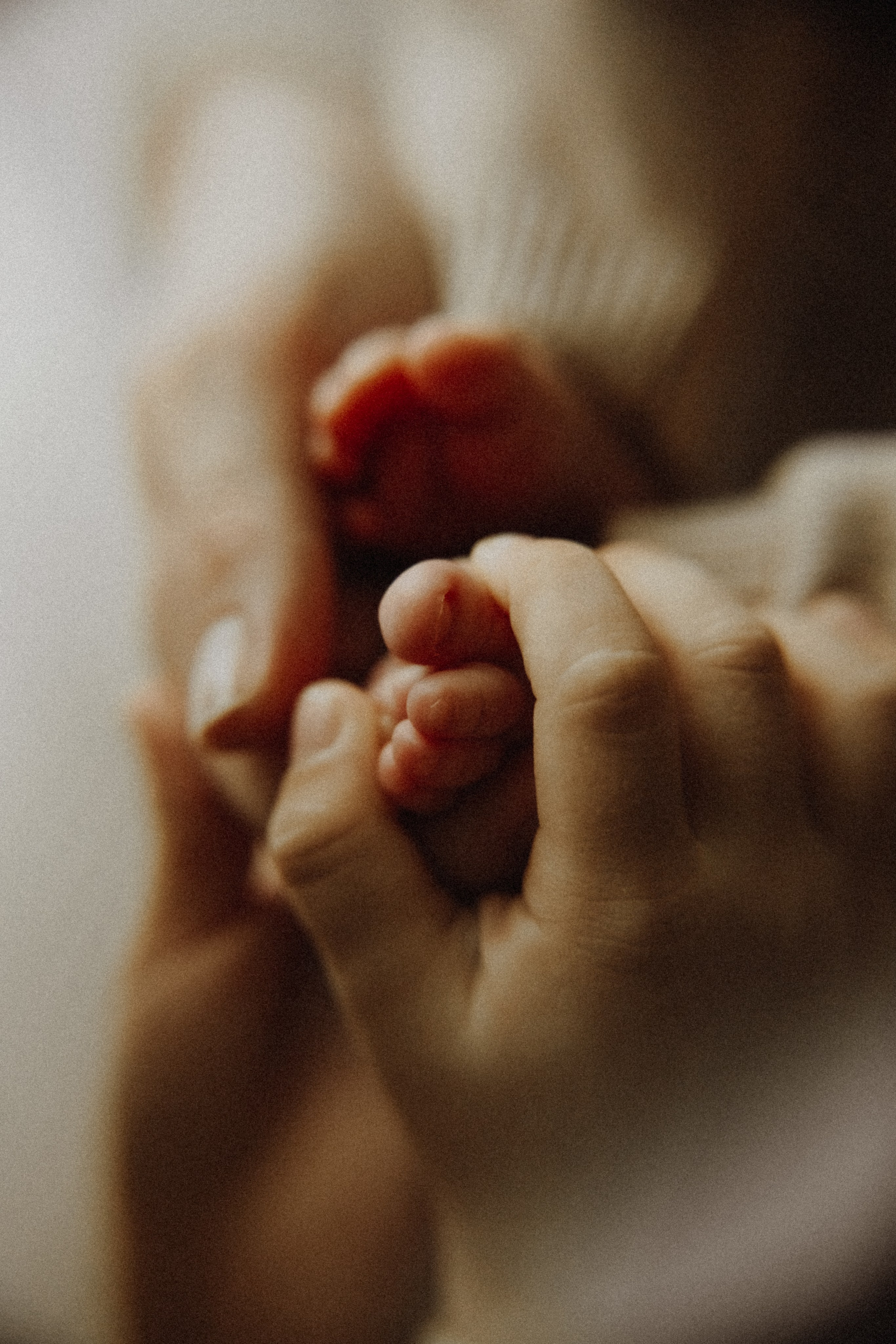 Baby Boy. Фотограф Ирина Йотова