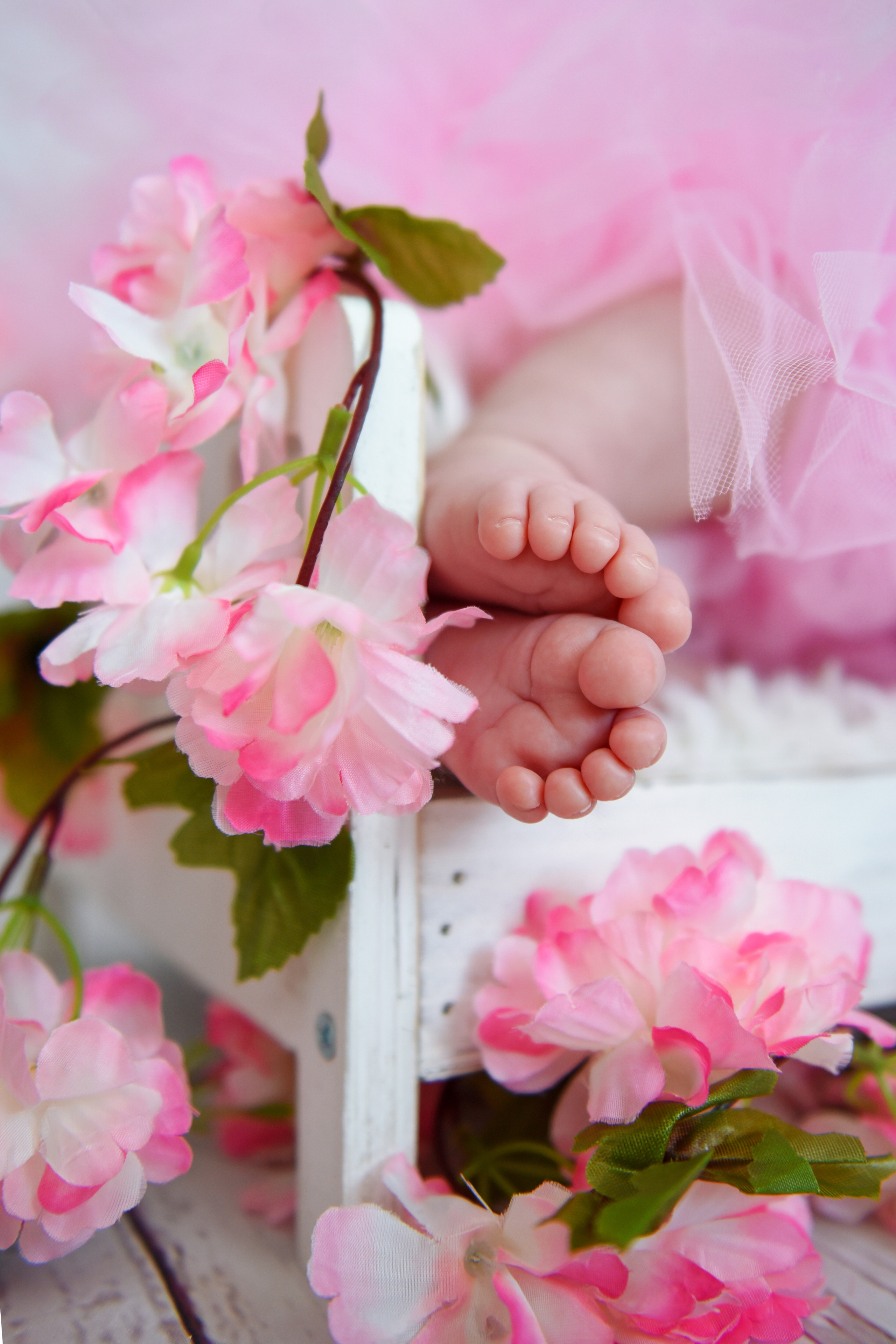 Baby. Фотограф Елена Регер, Зиндельфинген