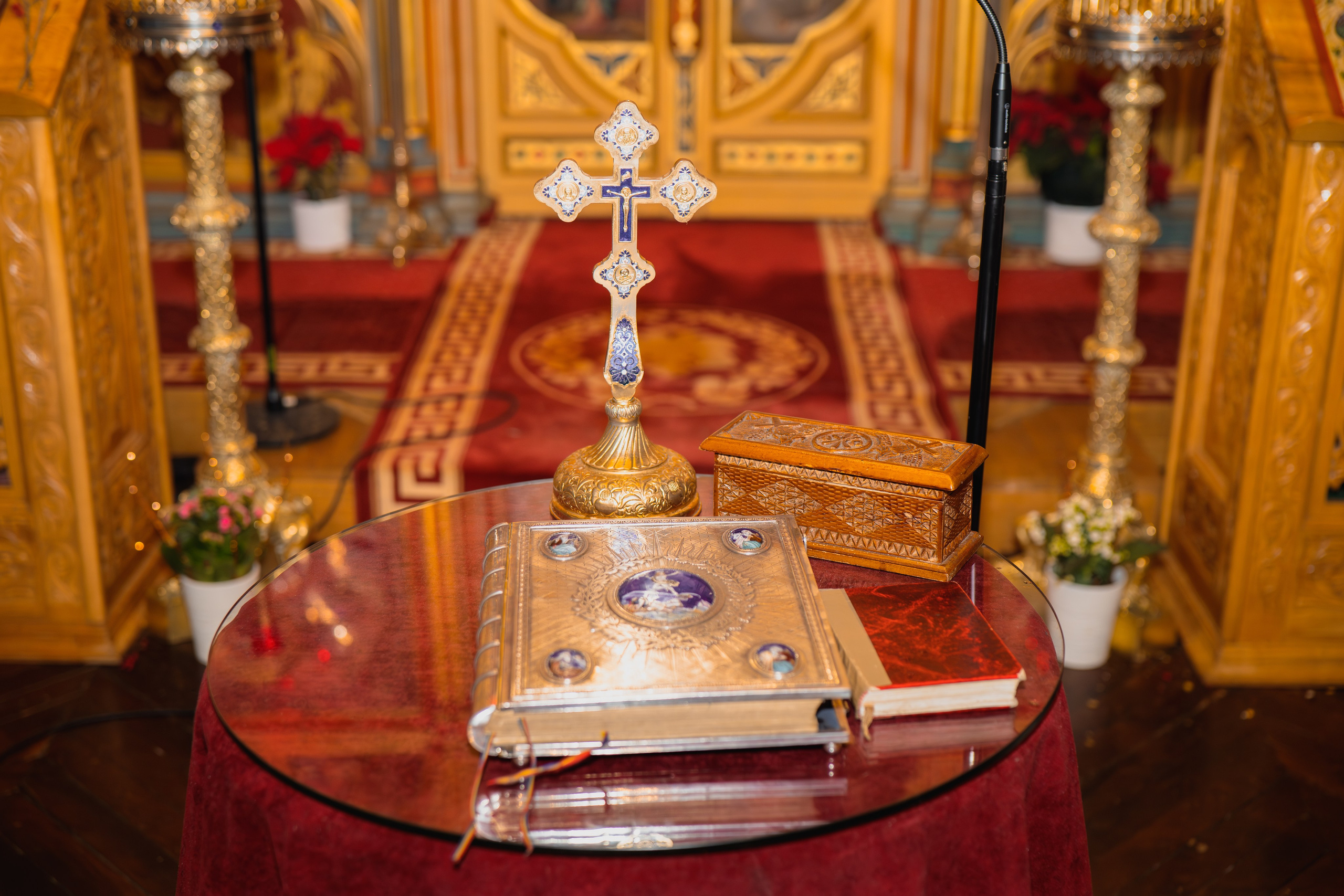 William. Fotograful și Cameramanul familiei dvs în Franța Paul Photographer