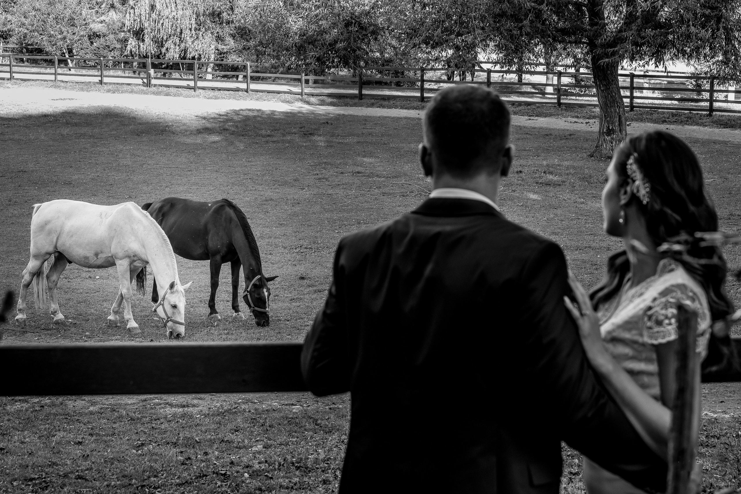 Best OFF2023. Soldan Studio