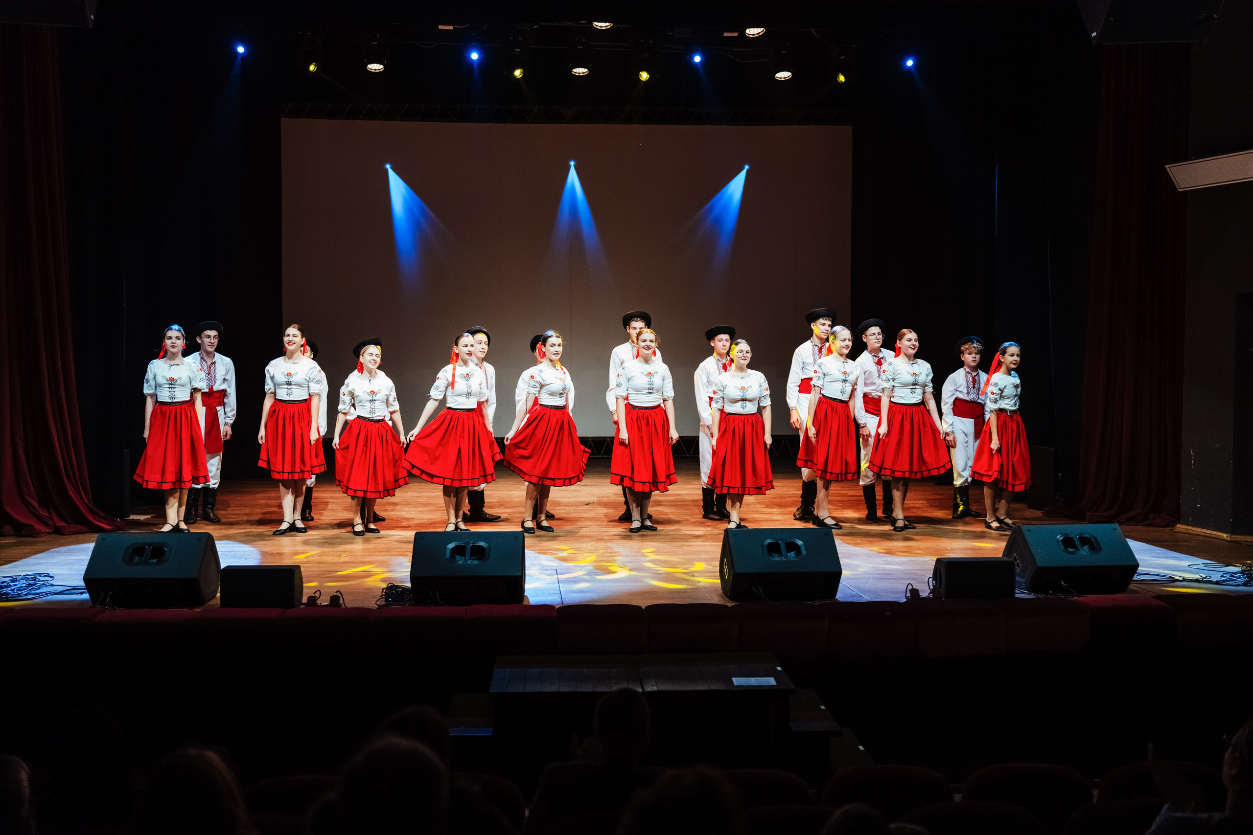 Traku kulturos centro koncertas. OnePIXEL