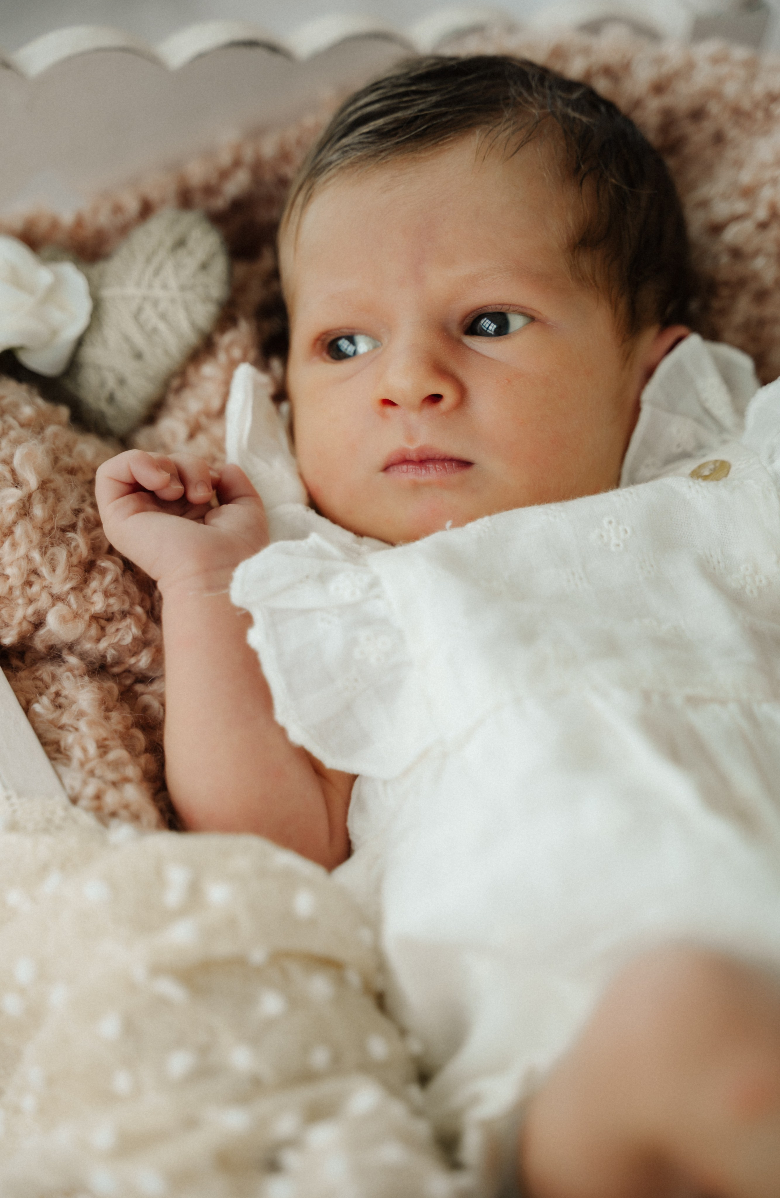 Newborn. Anastasia Kurbanov Photography