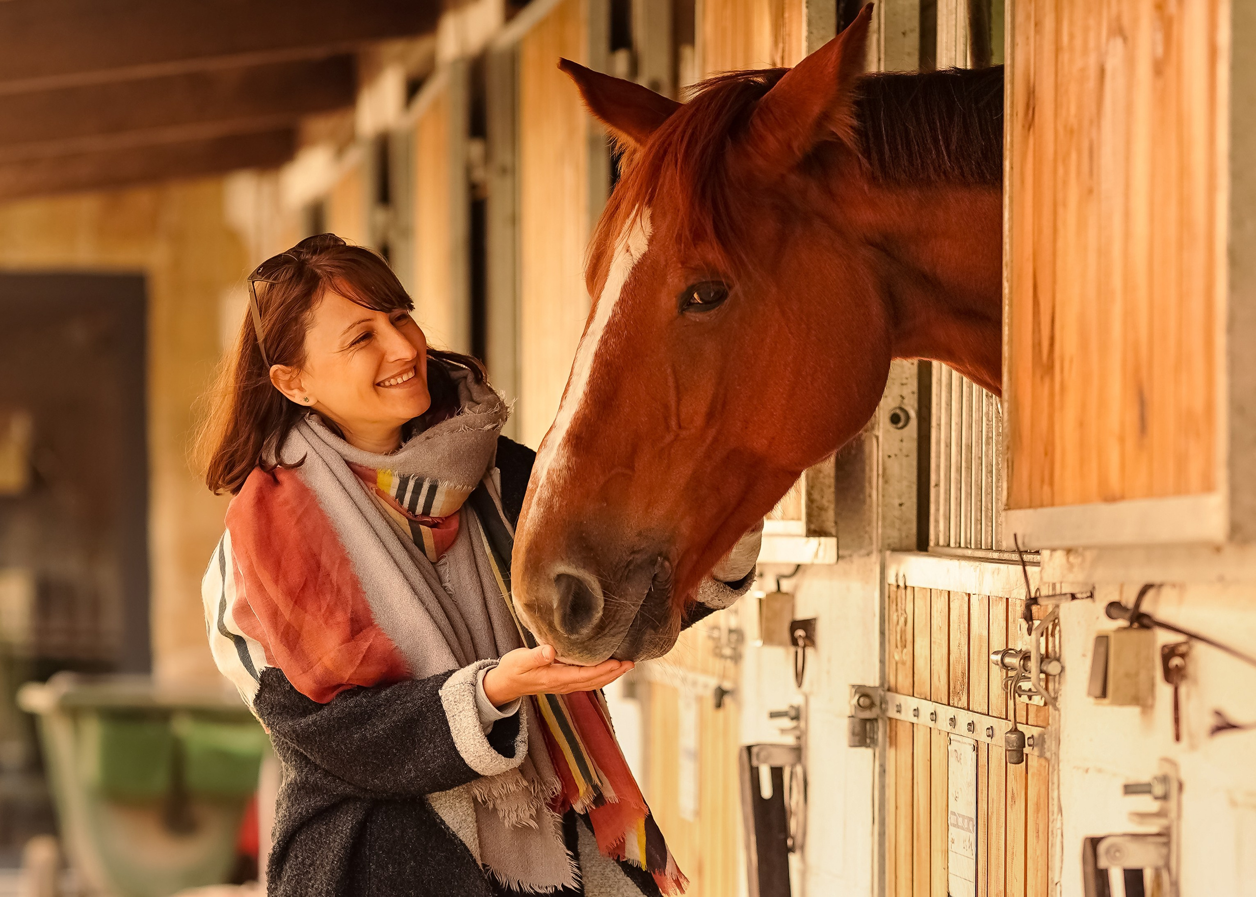 Portrait. Photographe Portraitiste et Spécialiste en Photographie de Famille et Mariages — Région de Lille, Valenciennes