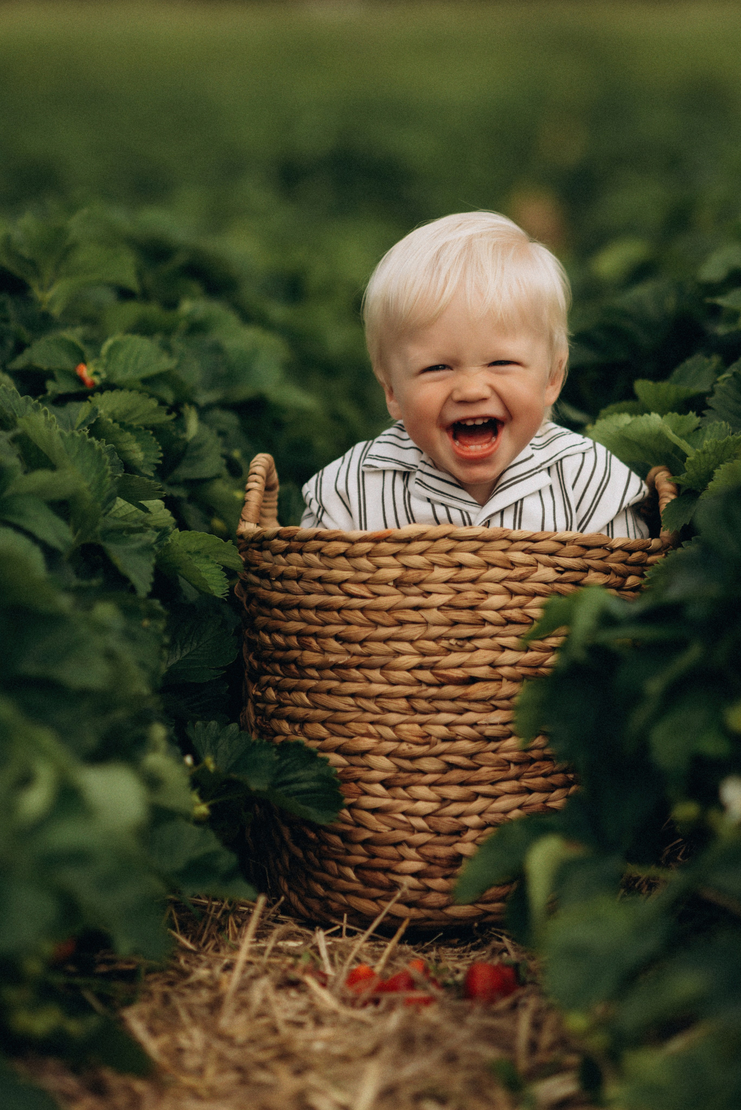 Семейная фотосессия в клубнике. Семейный фотограф Лейпциг, Германия