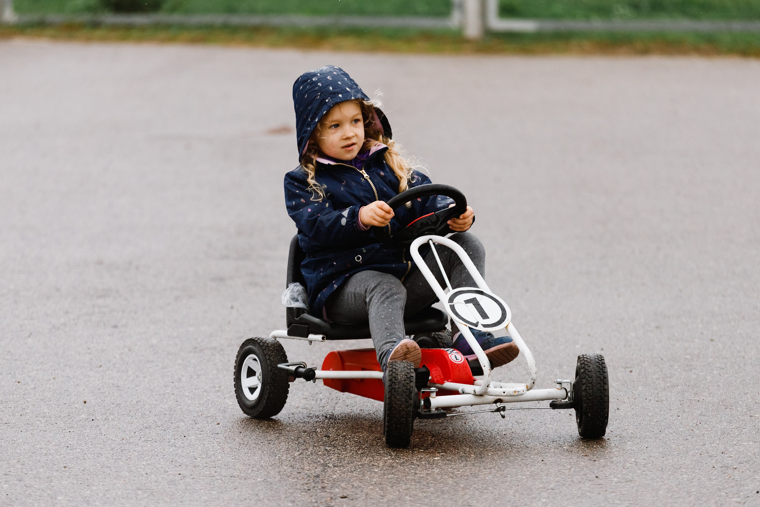 Rainy dog show in Grodno. Kaja | fotograf we Wrocławiu | ludzie i psy