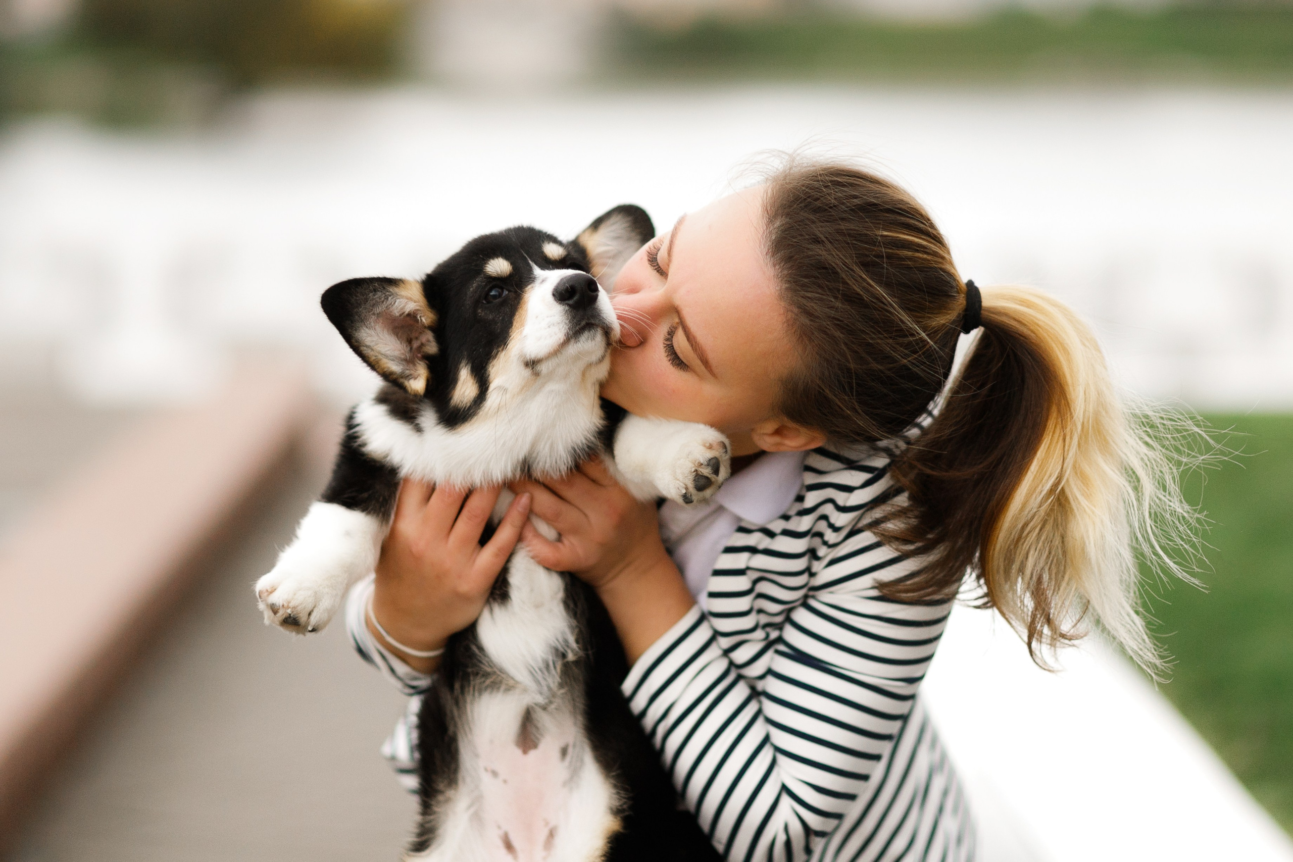 Autumn photo day for dog handler. Kaja | fotograf we Wrocławiu | ludzie i psy