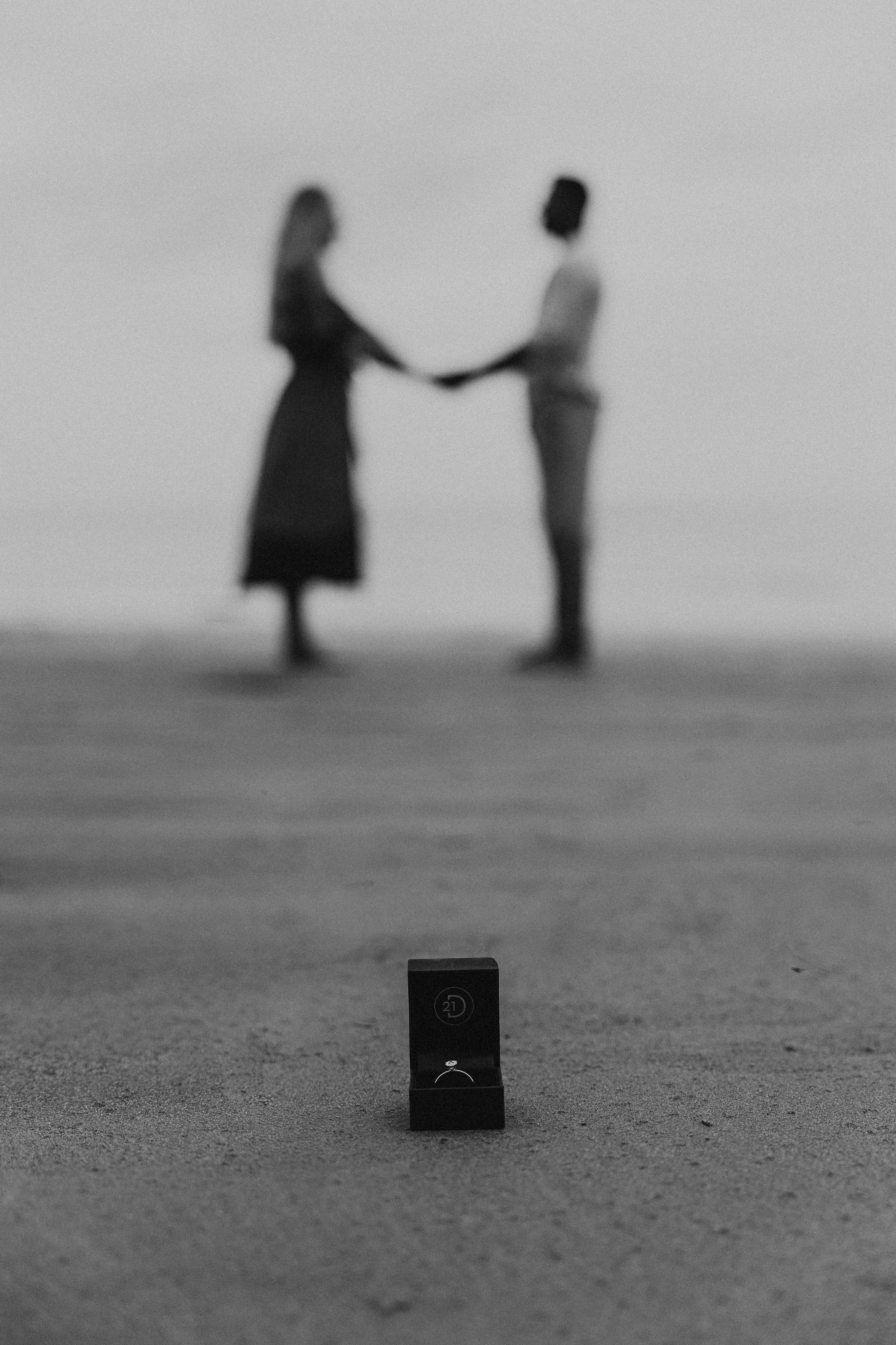 Laura and Raji. Wedding and family photographer San Diego