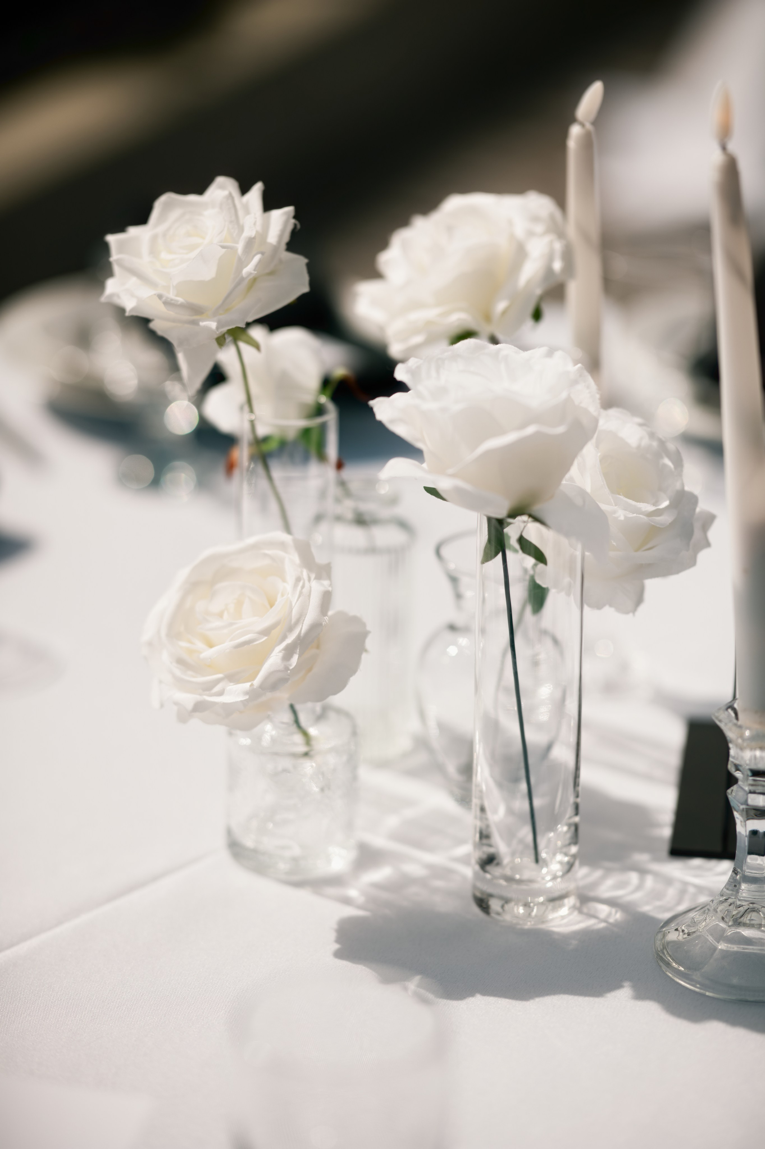 Z&M. Alena Tau | Wedding & Family Photographer Vancouver WA and Portland OR