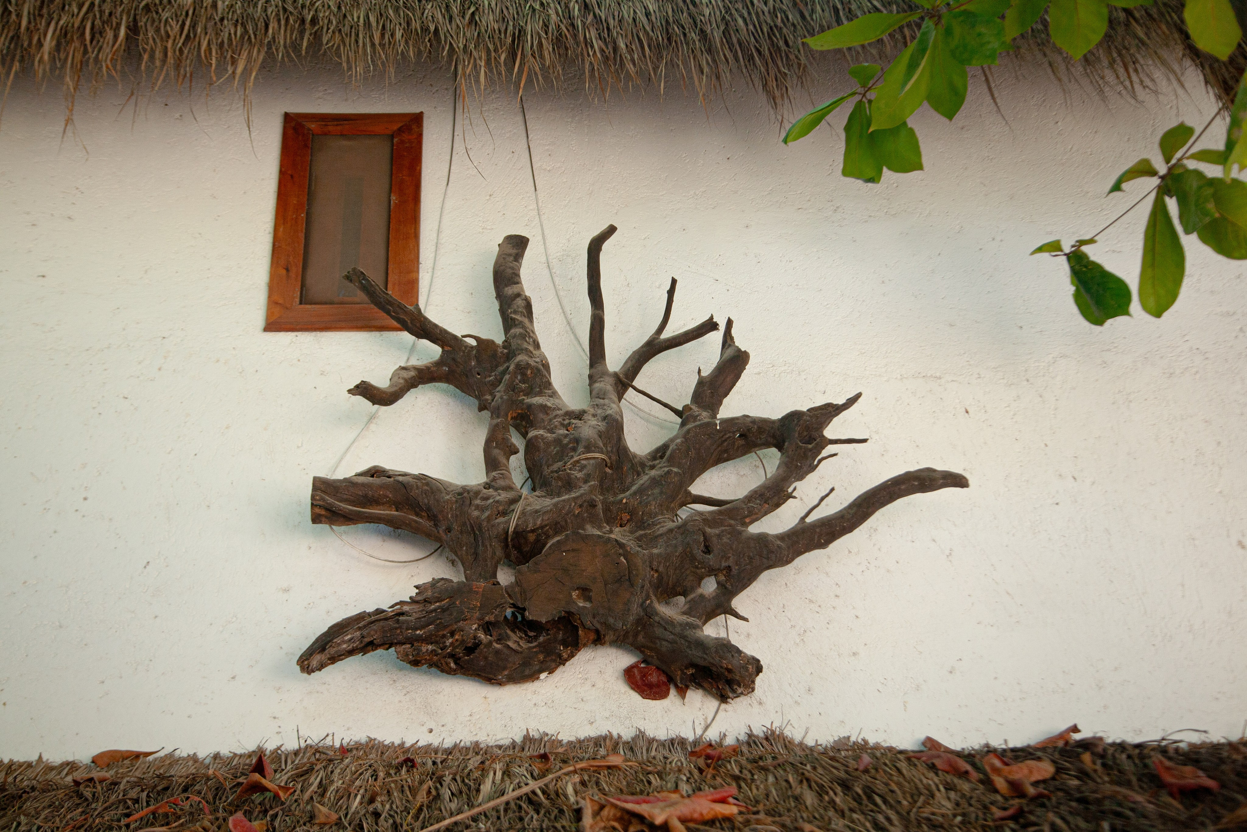 TULUM. ECO HOTEL. Lero Photographer and a set designer|individual custom portrait and advertising photography in Zutphen