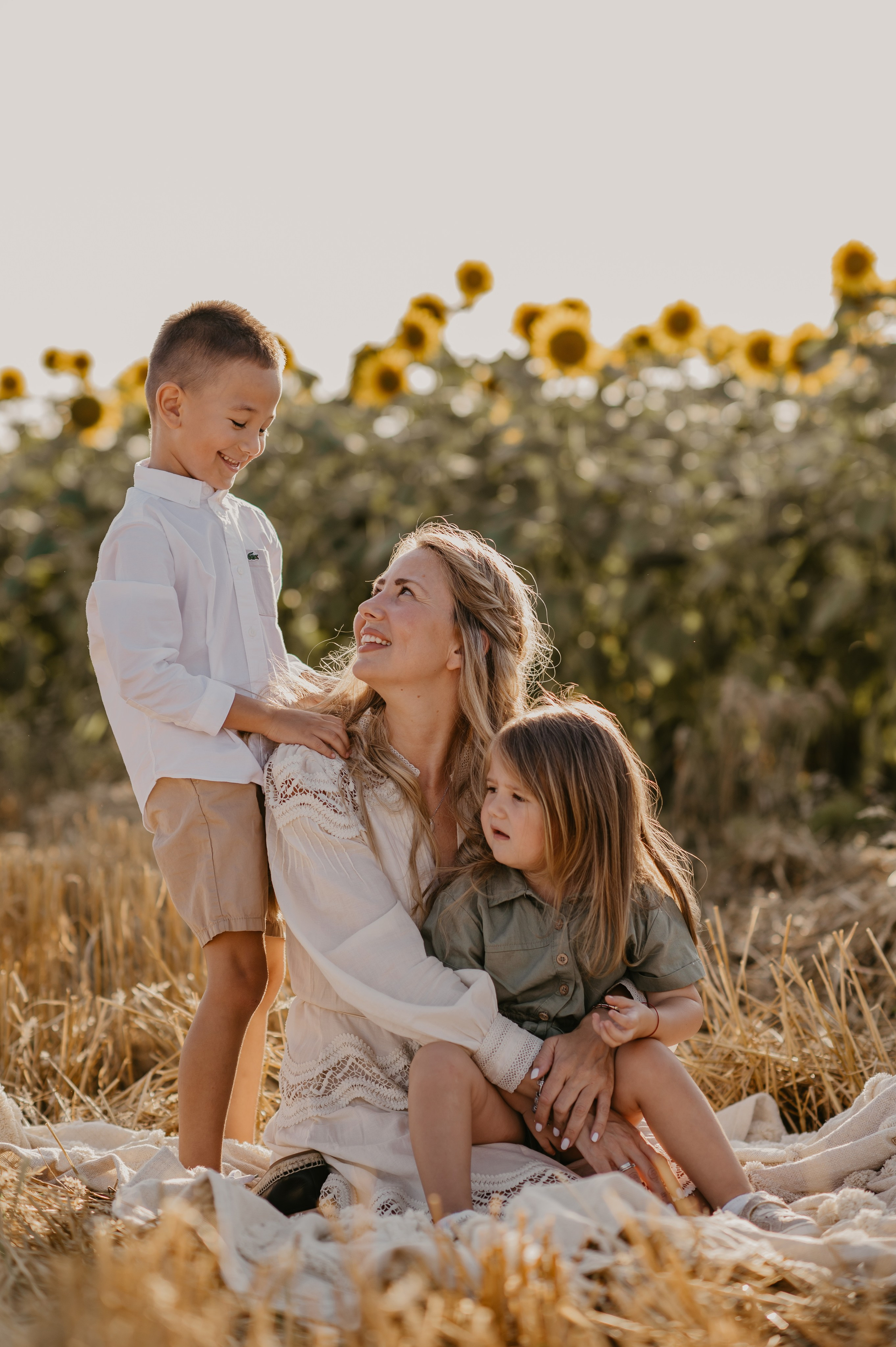 Polje suncokreta. Ana Sladojevic