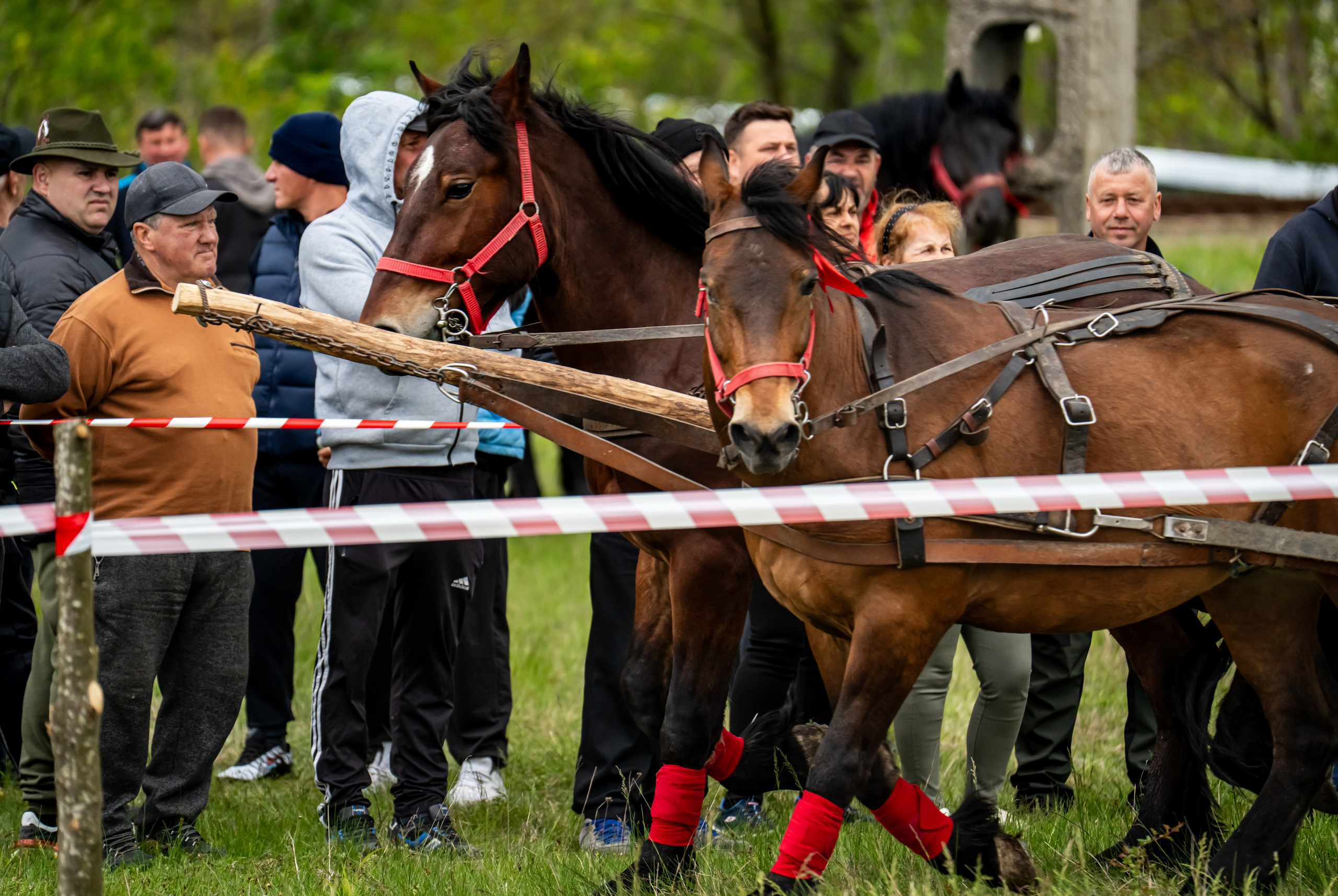 Concurs Ecvestru Vărbilău ediția a 4-a. Mihai Alexandra Events