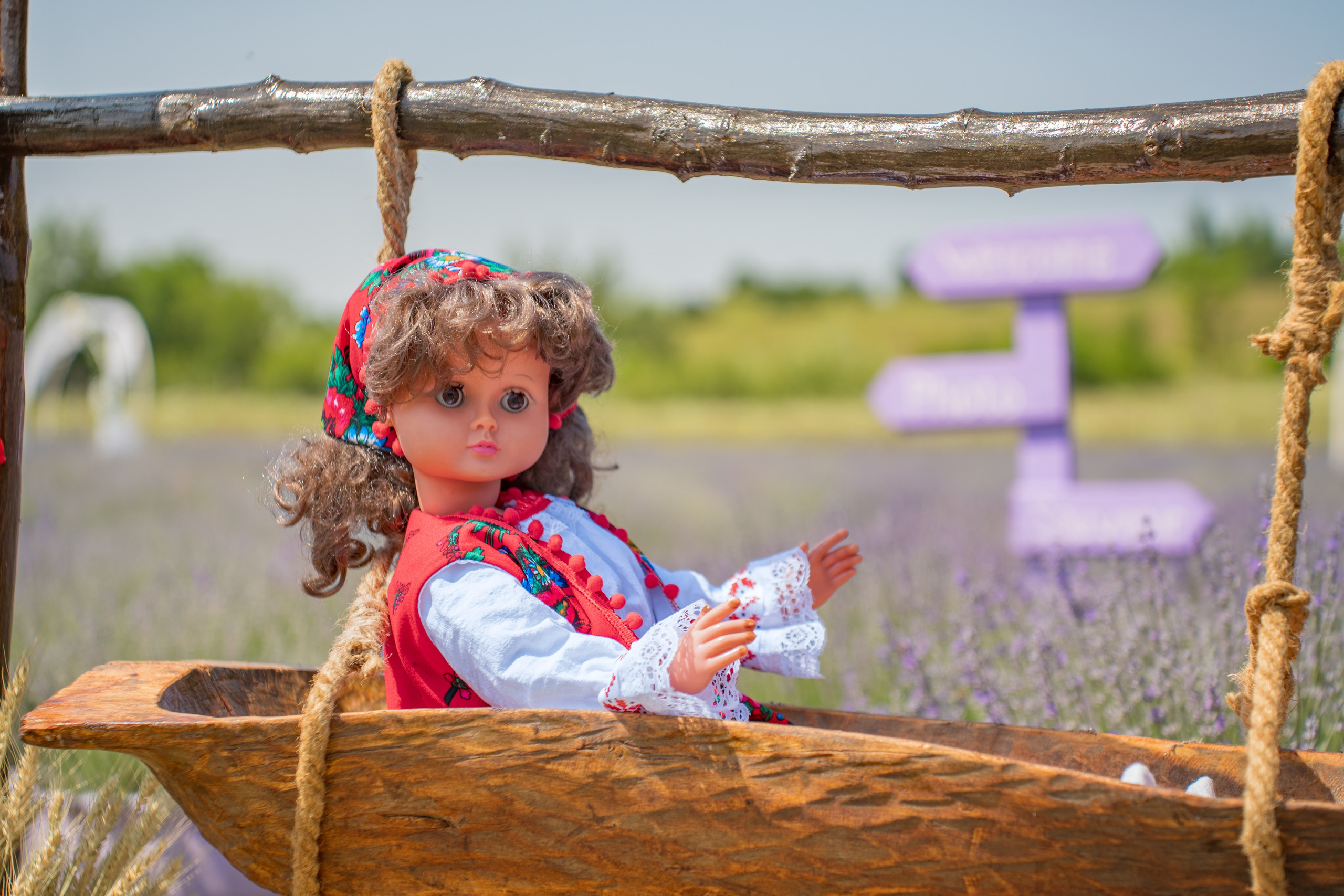 Ședință foto în Lavandă. Mihai Alexandra Events