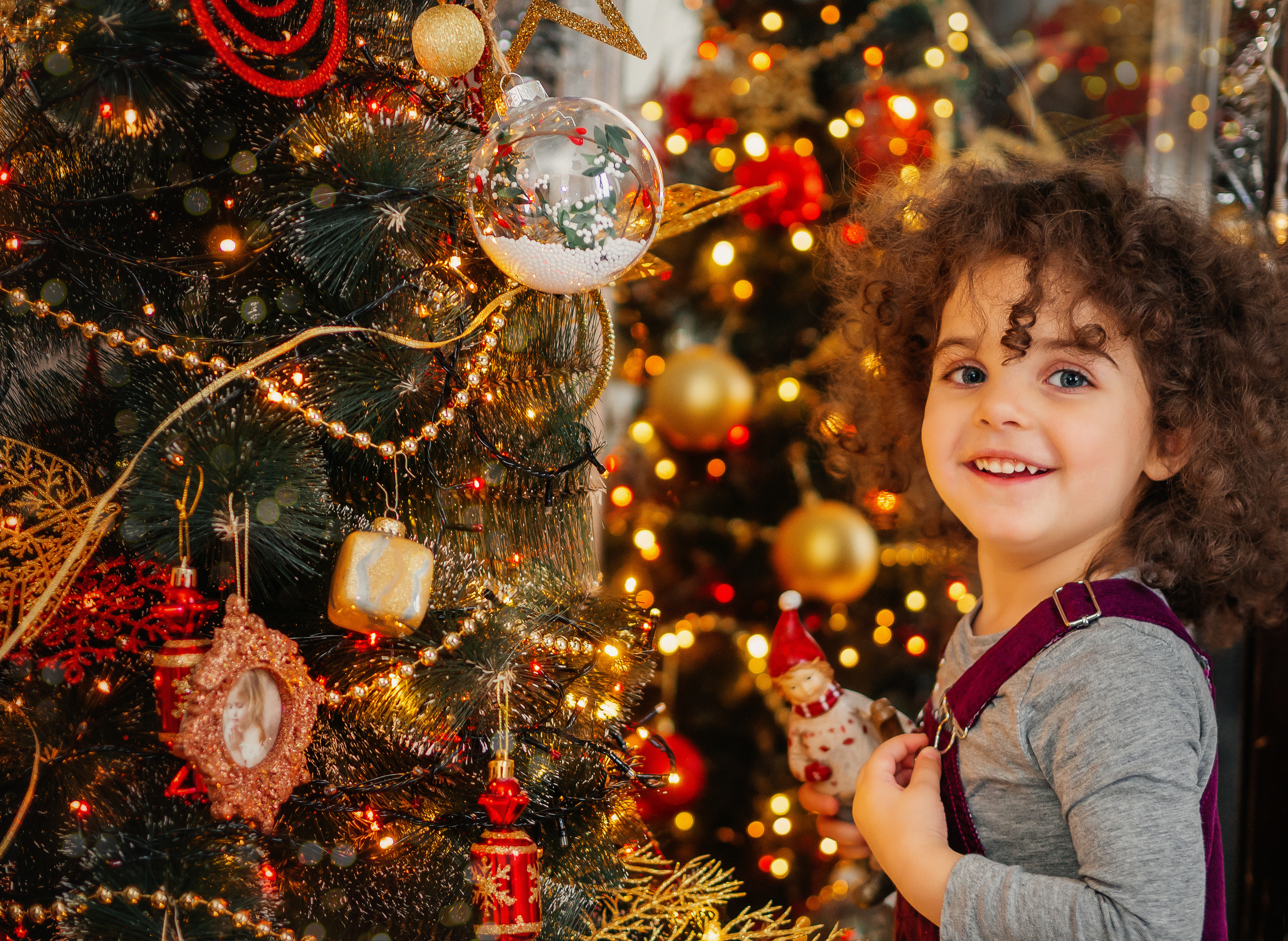НОВЫЙ ГОД у Вас дома. Фотограф в Ереване Карина Тоноян