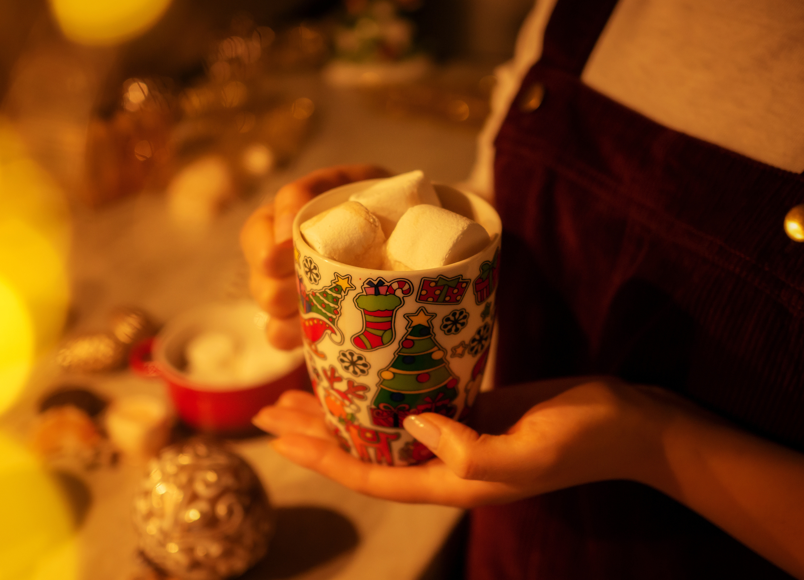 НОВЫЙ ГОД у Вас дома. Фотограф в Ереване Карина Тоноян