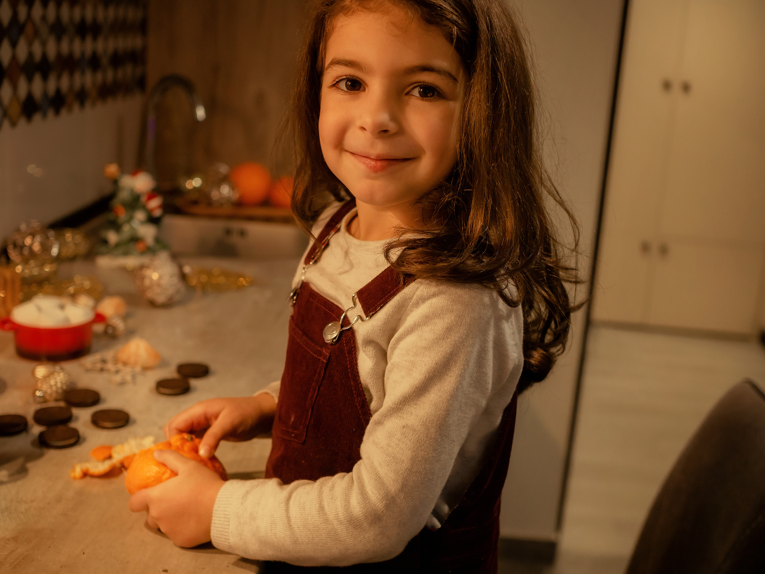 НОВЫЙ ГОД у Вас дома. Фотограф в Ереване Карина Тоноян