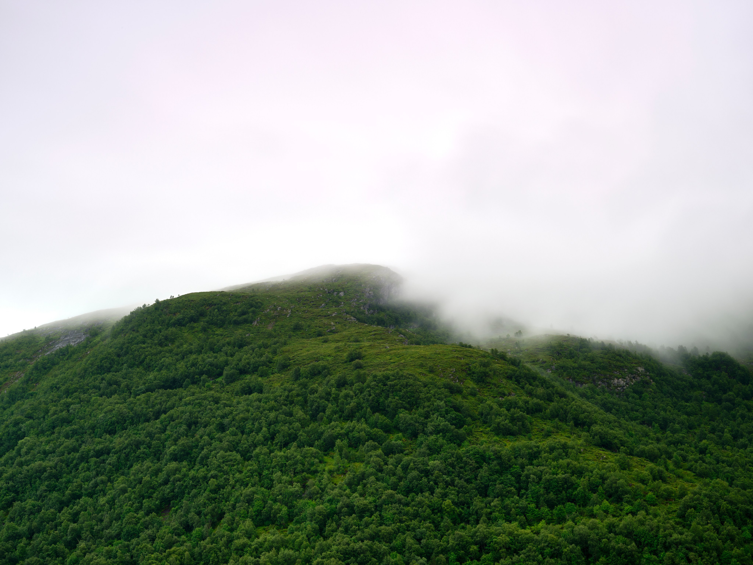 Prints by D.Todosyev