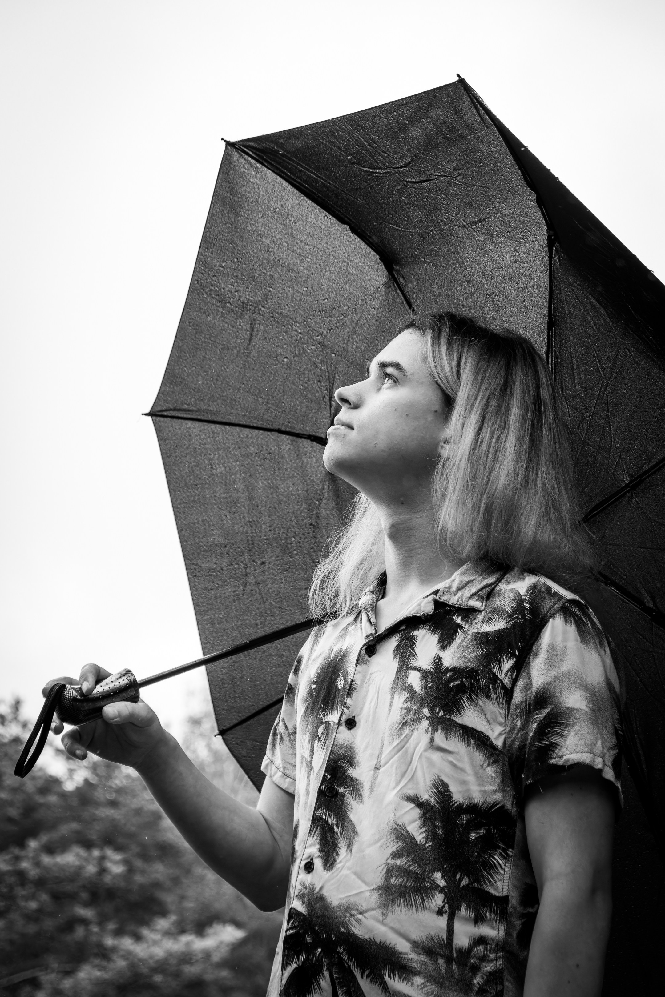 Mets, vihm ja jahedus (Dimitry). Nebula 25 — Fotod teie hingele