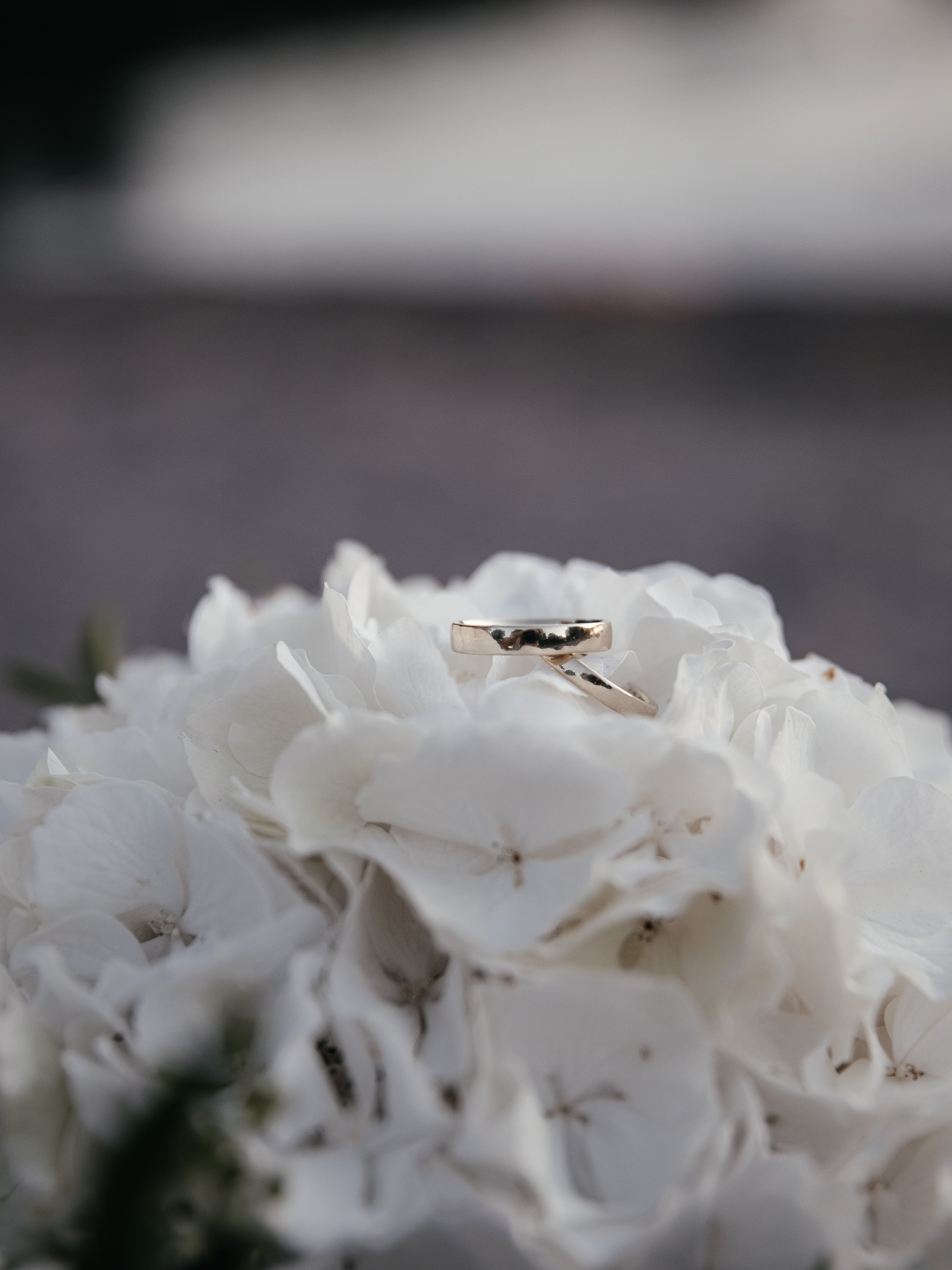 Janin & Lex. Familien-, Hochzeits- und Newbornfotografin Neustadt an der Weinstraße