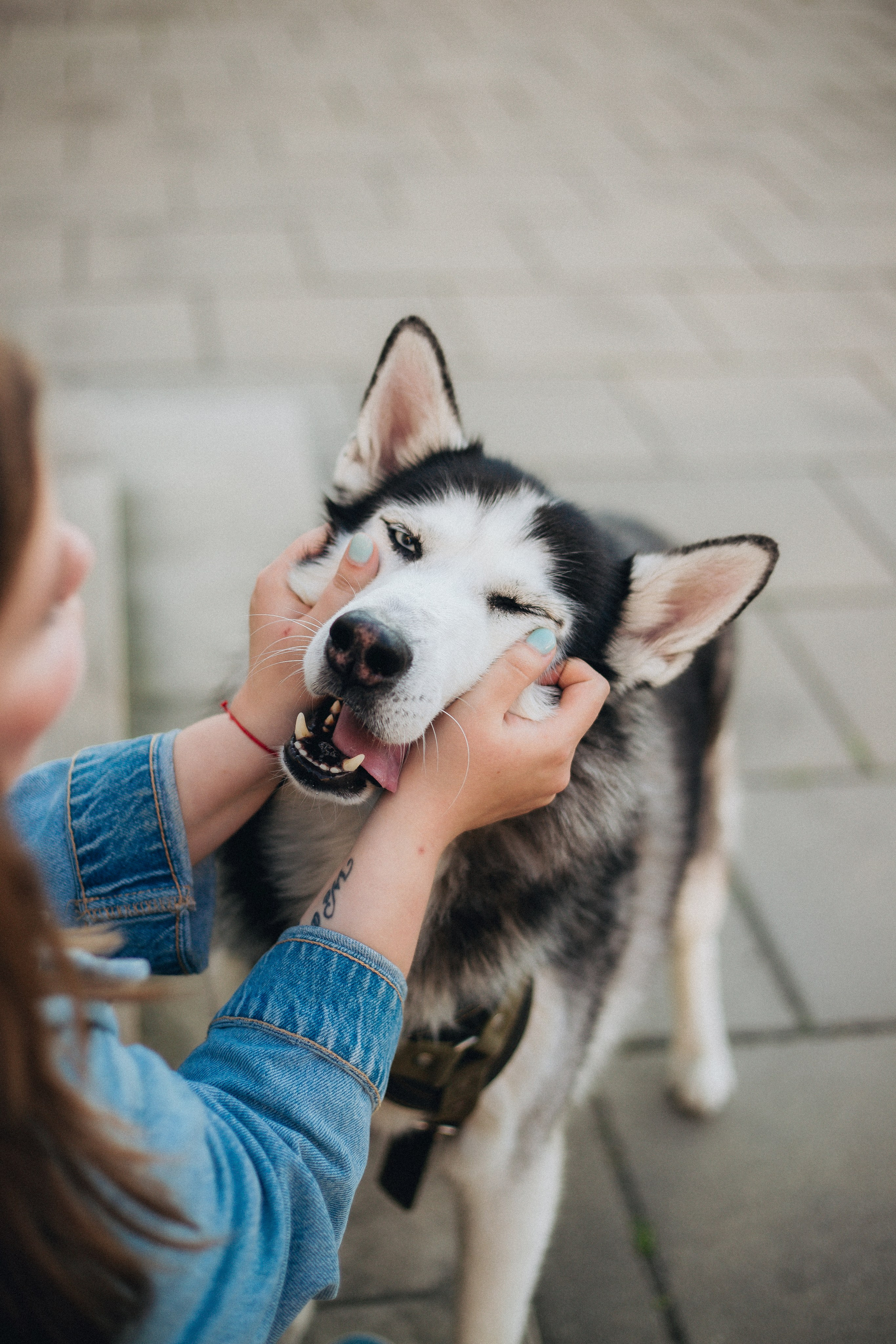Aliona & Zeus. Photographer in Los Angeles. Julia Ishmuratova