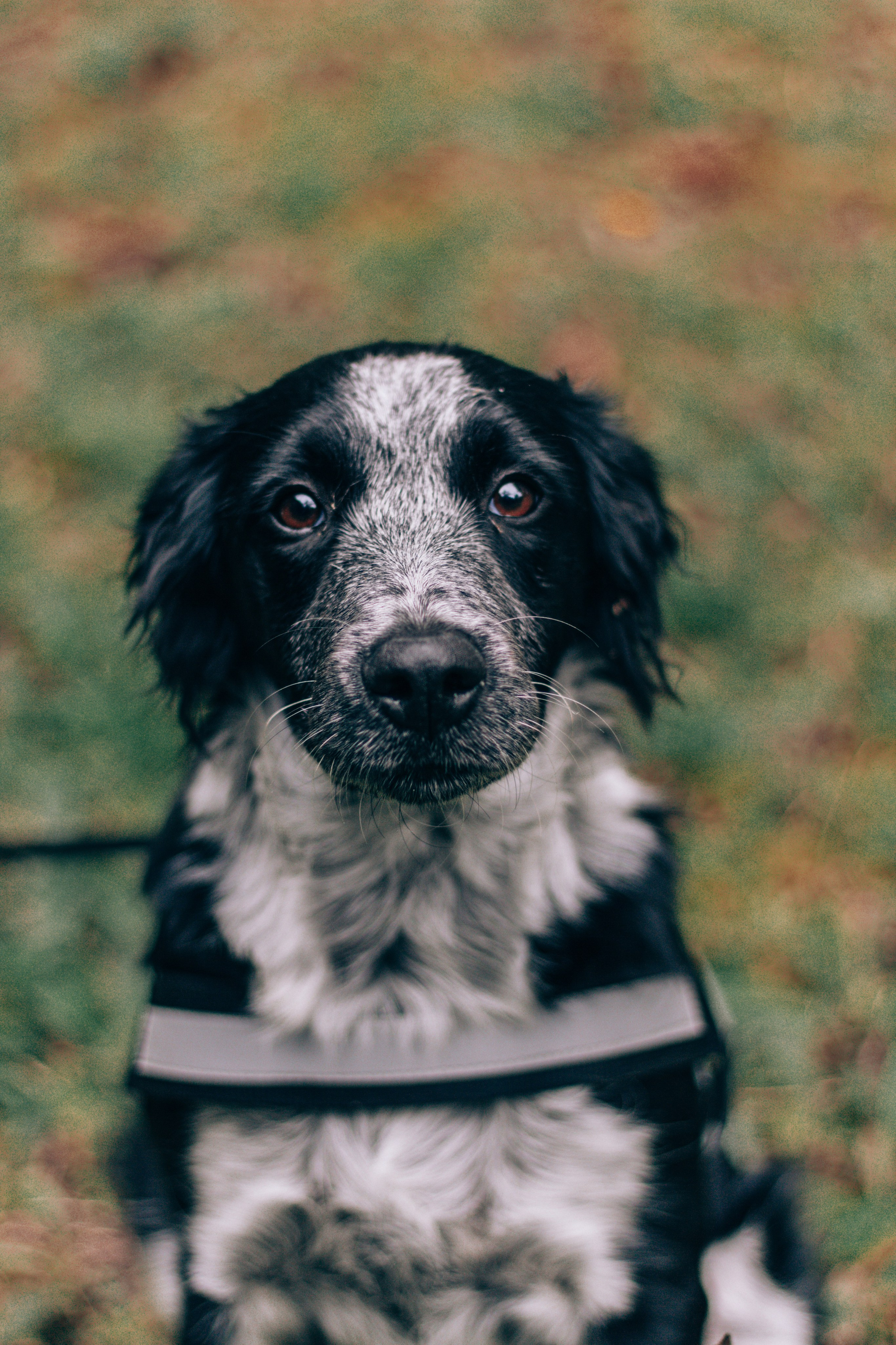 Johanna et sa famille. Studio photo « Partage ton bonheur » – Photographe famille près de Châtellerault, Poitiers et Tours