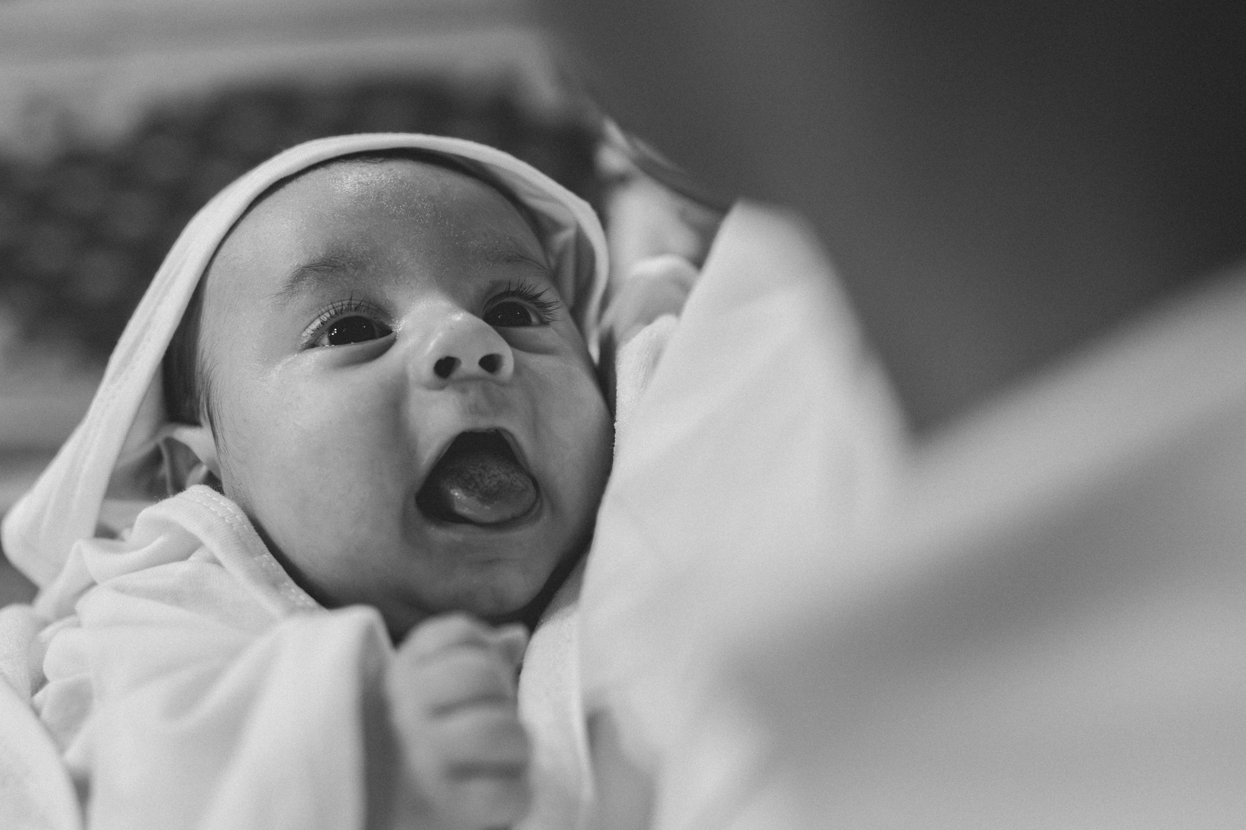 Bogdan Constantin. Catalin Brinza