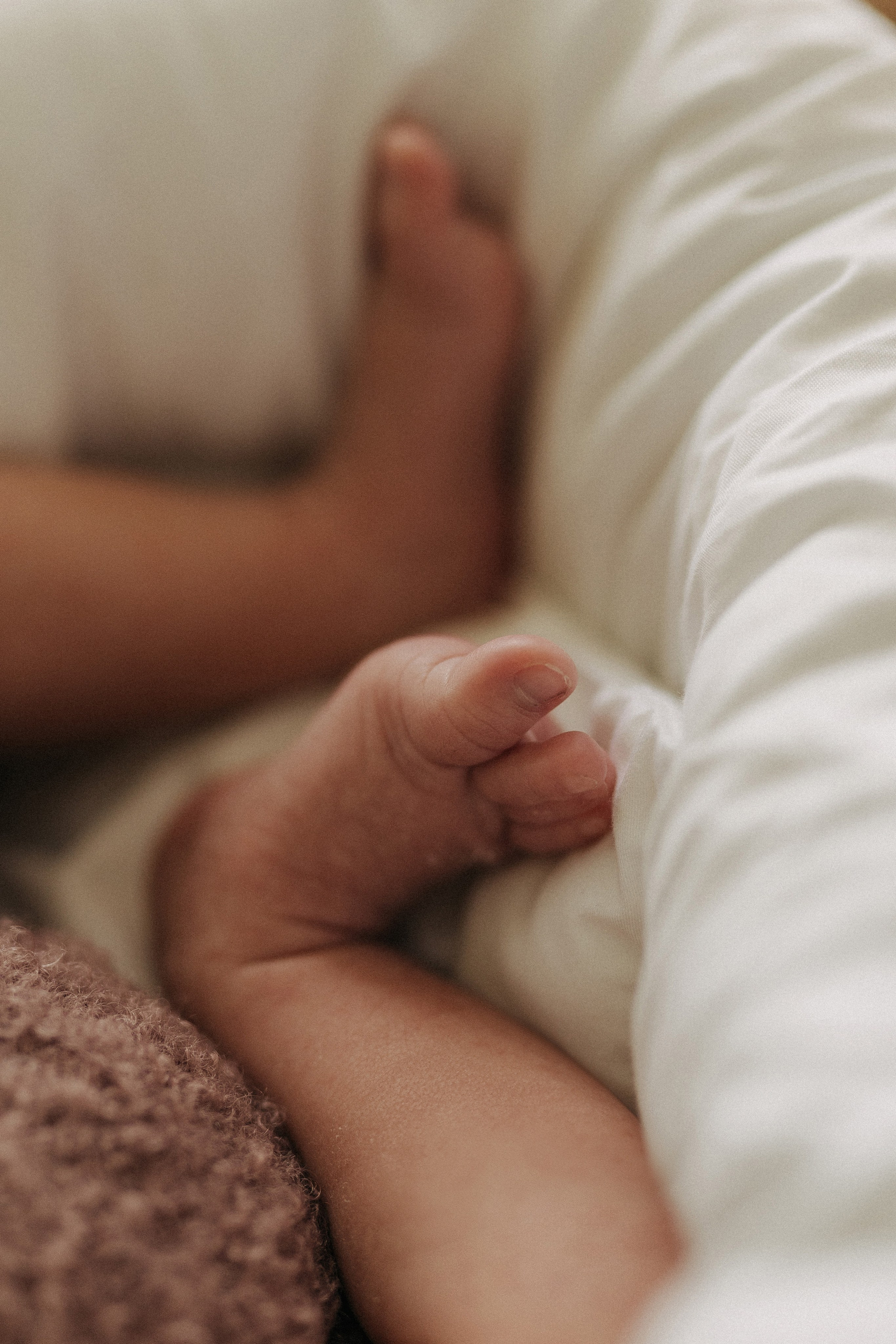 Full Family Newborn Photography – Love, Warmth & Connection. Alisa Tant — Family and newborn photographer Bucks County, Montgomery county, Philadelphia, NJ