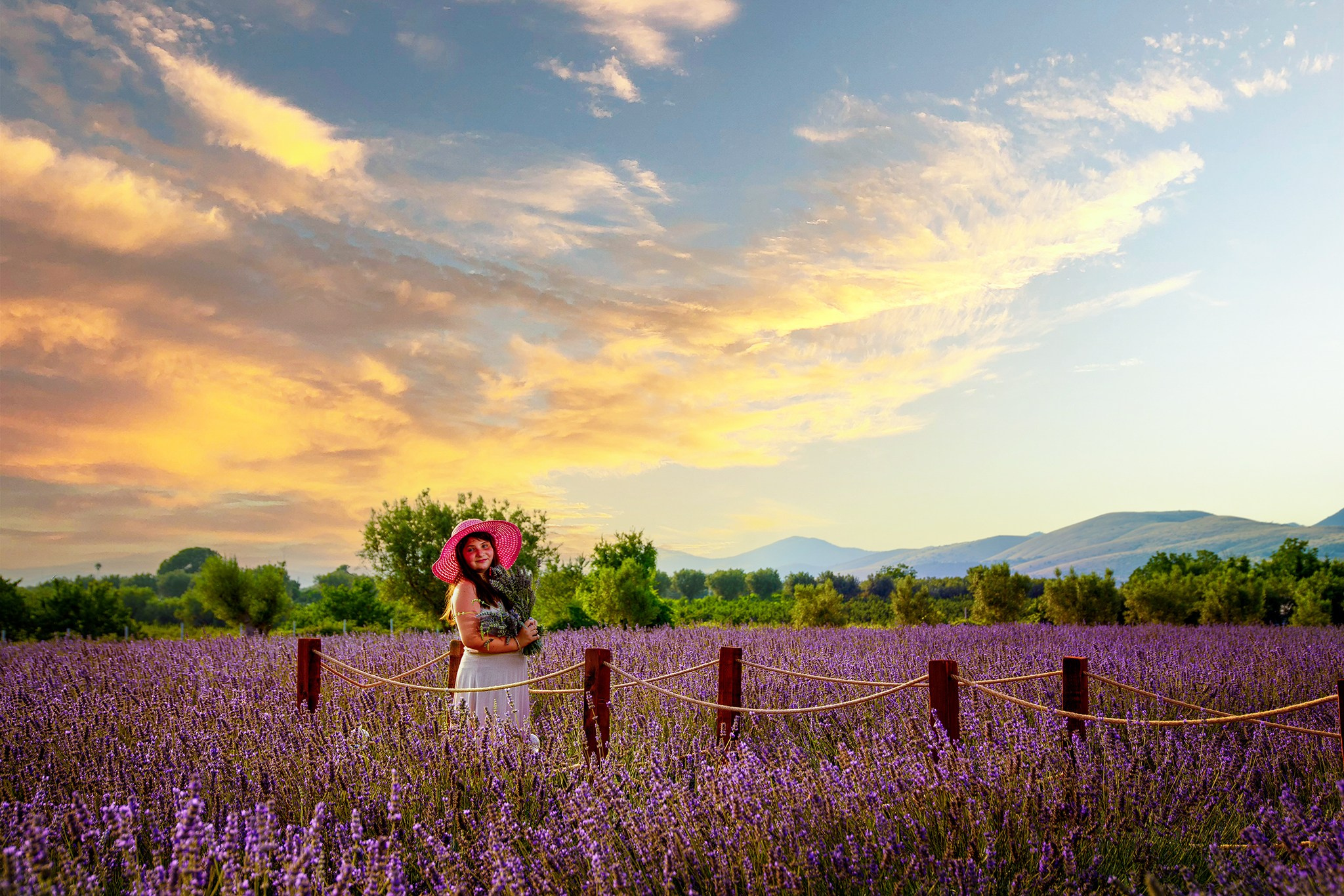 Campo di Lavanda. Fotografo di famiglia