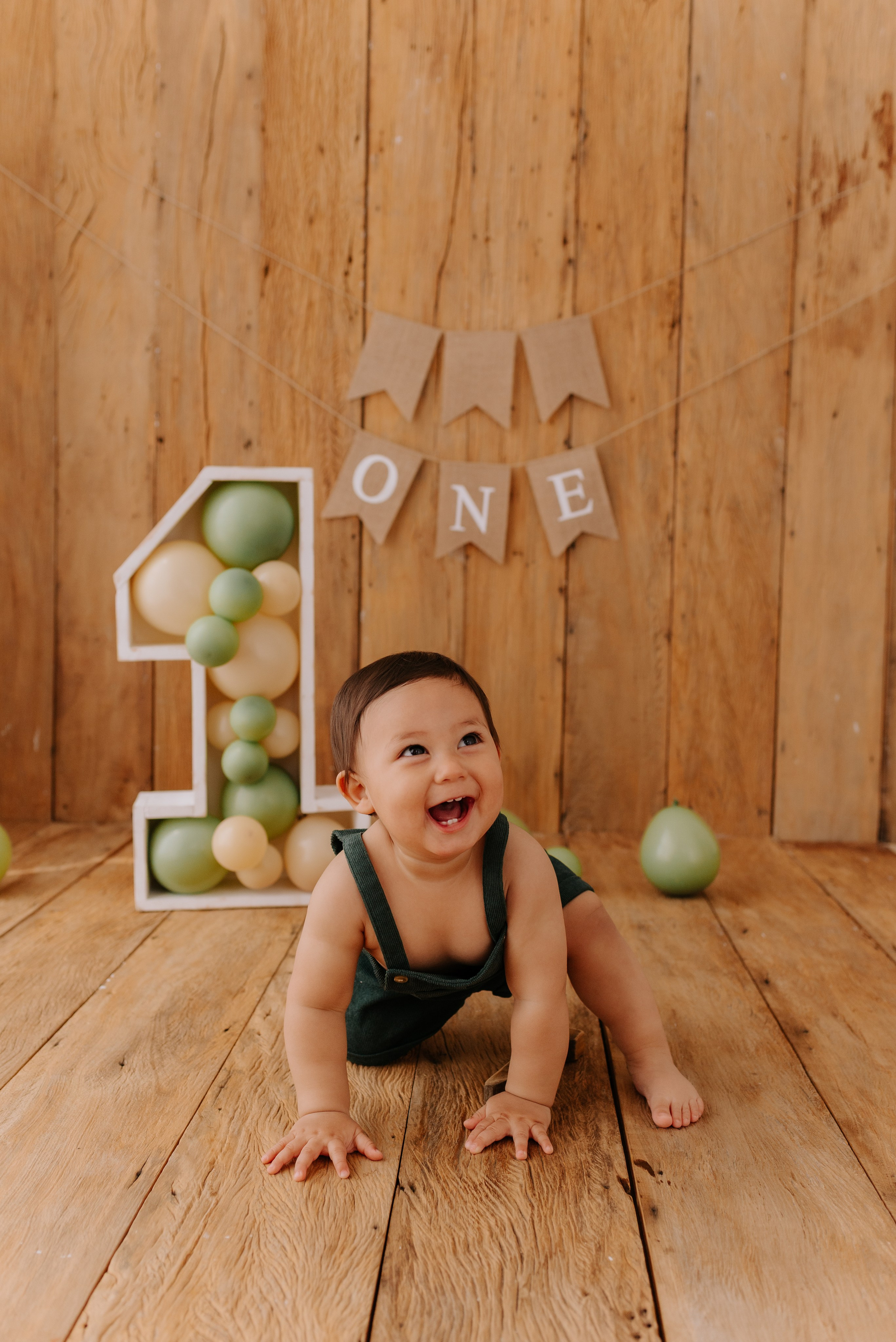 Ensaio 1 ano Henry. Fotógrafa Porto Alegre