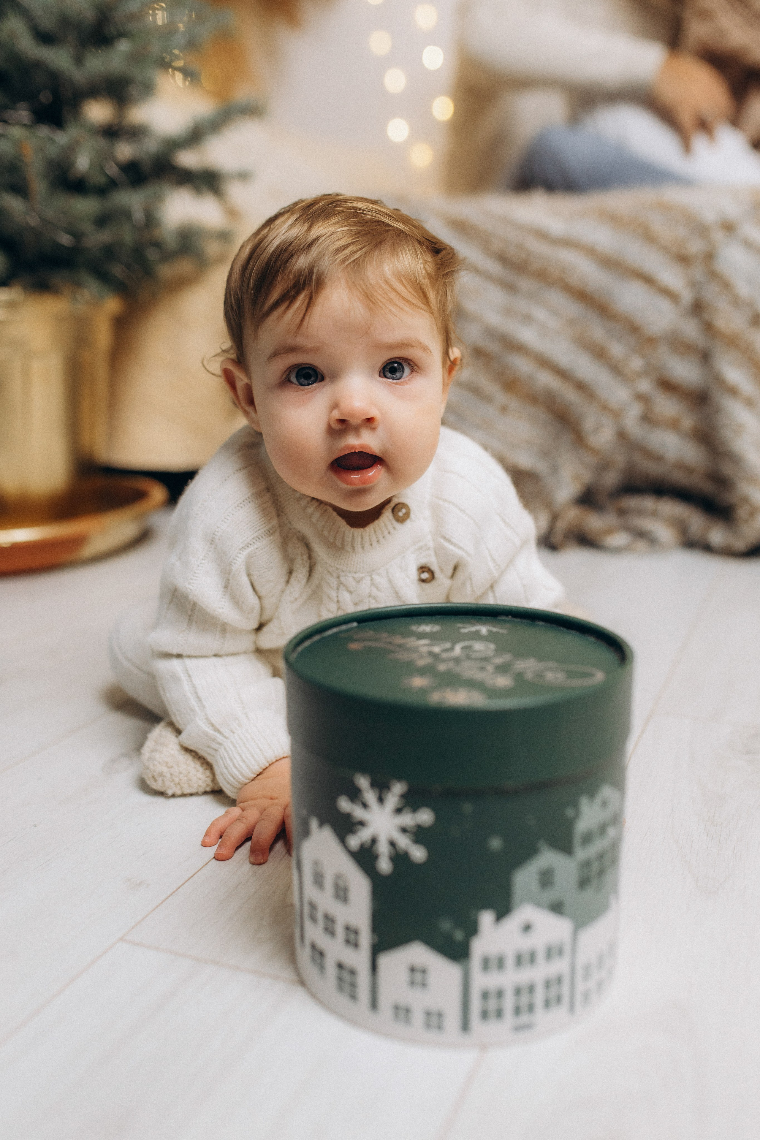 Holiday Season. Home