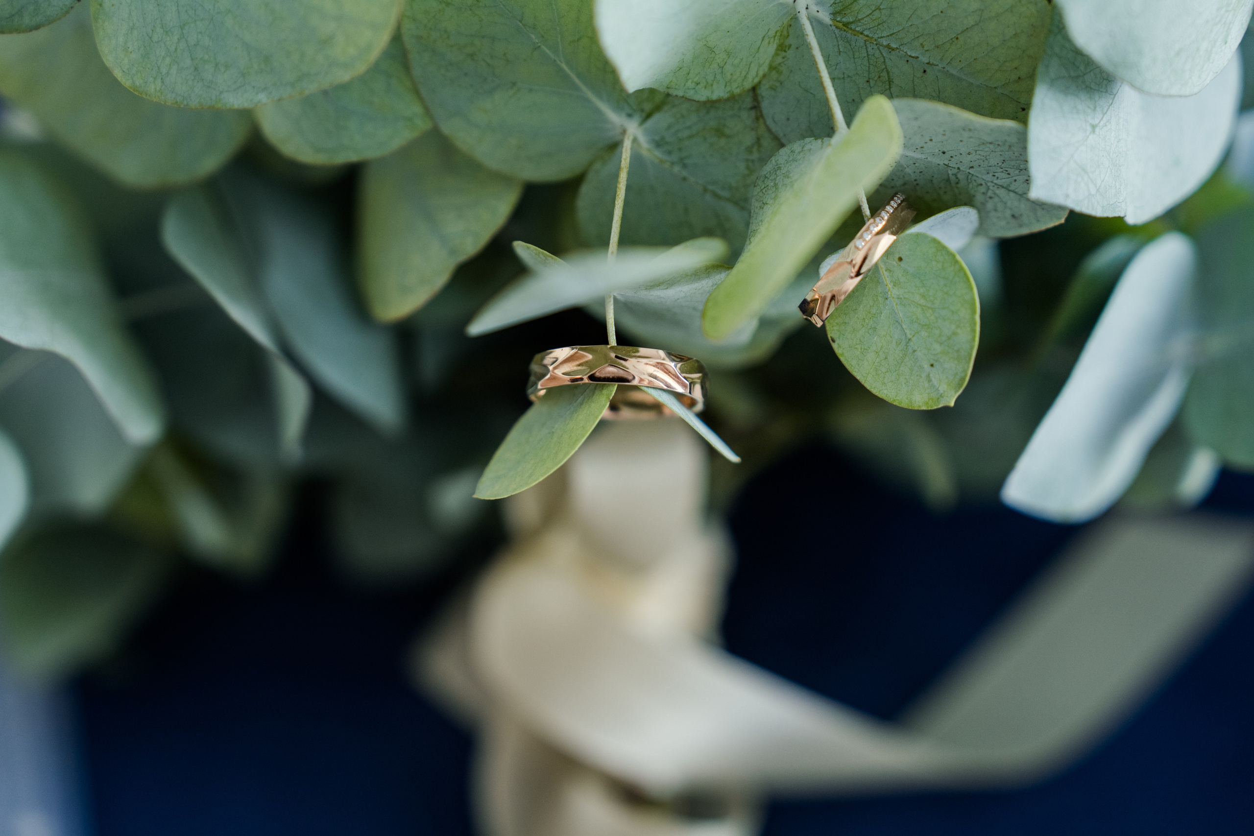 Wedding. Ekaterina Verbitskaya. Photography