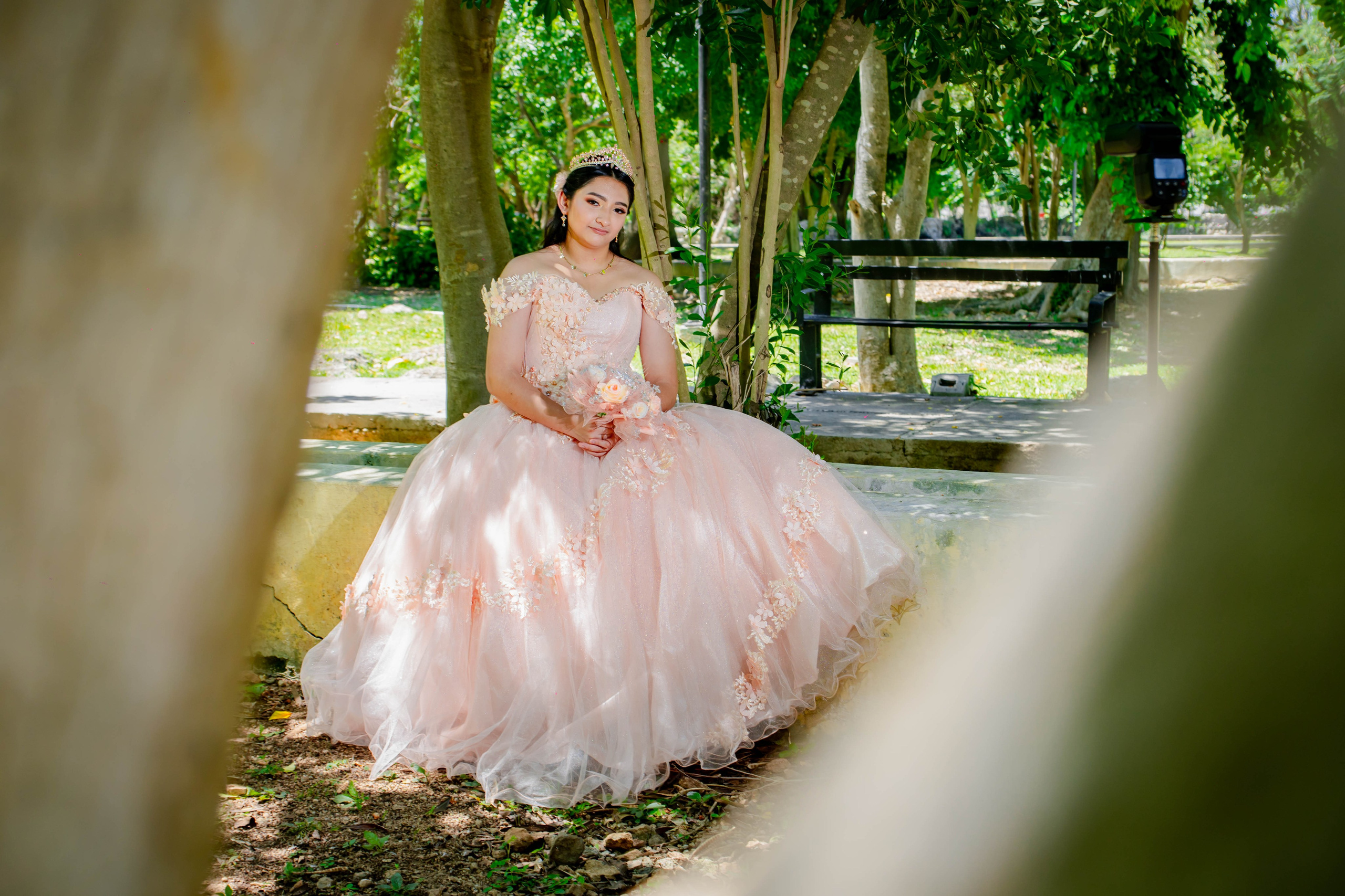 Alondra. Fotógrafo "dD" Didier Dzul