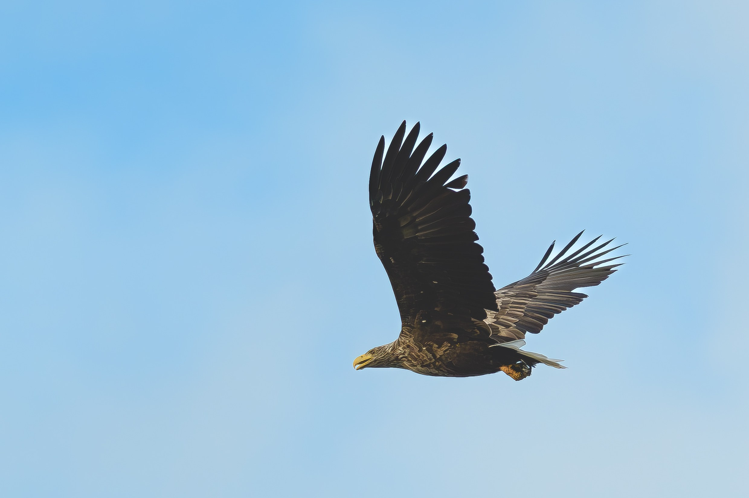 Travel. Klausenburg Photography